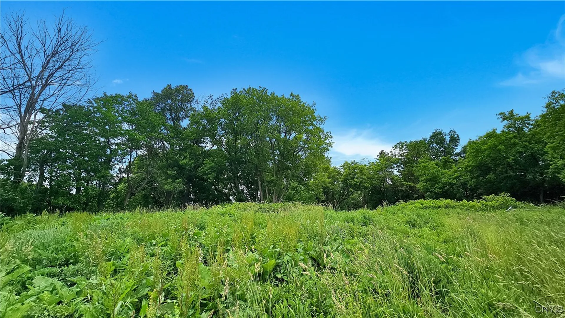 Property at 9692 East Road, Denmark, NY 13367 6