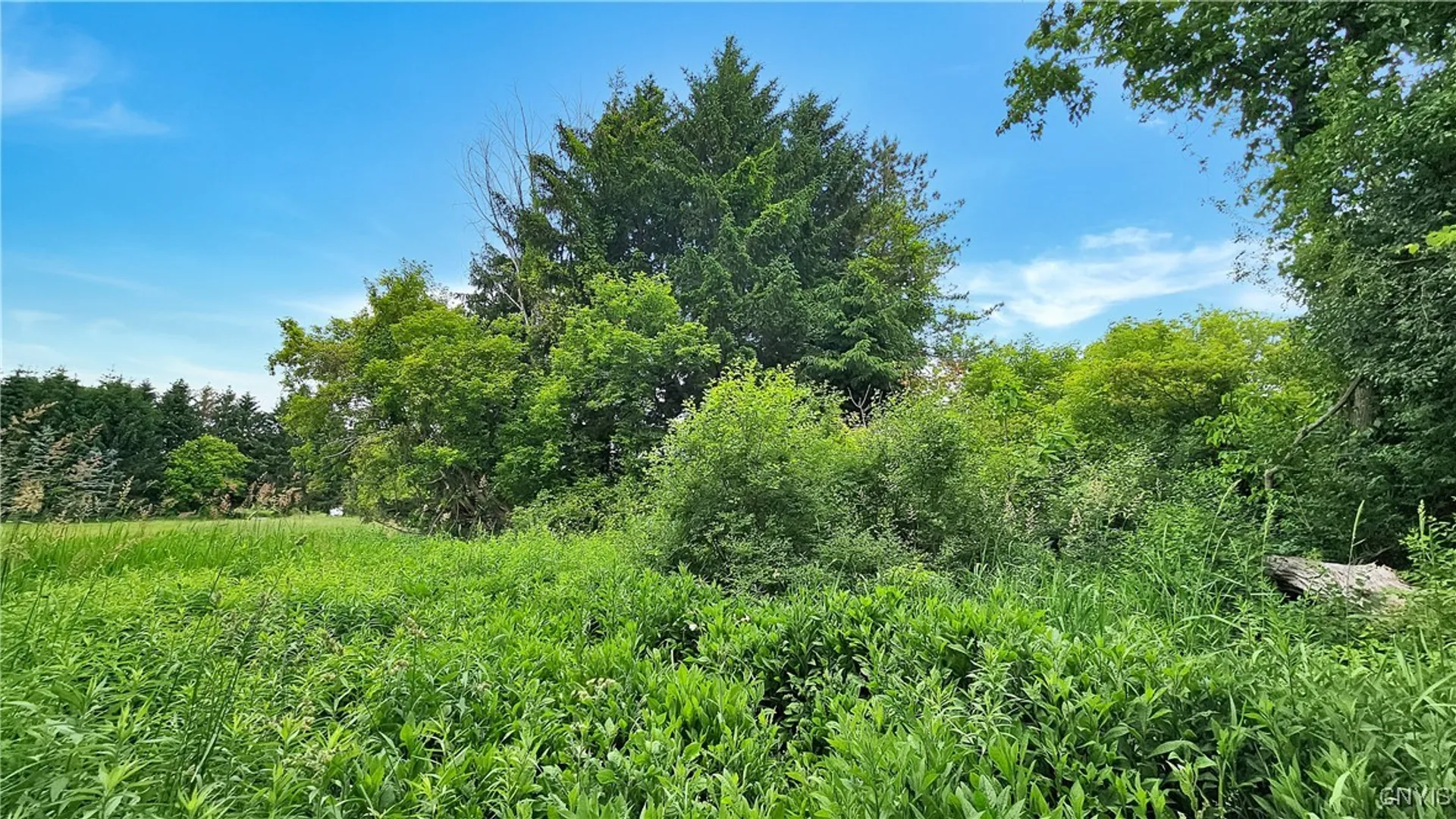 Property at 9692 East Road, Denmark, NY 13367 7