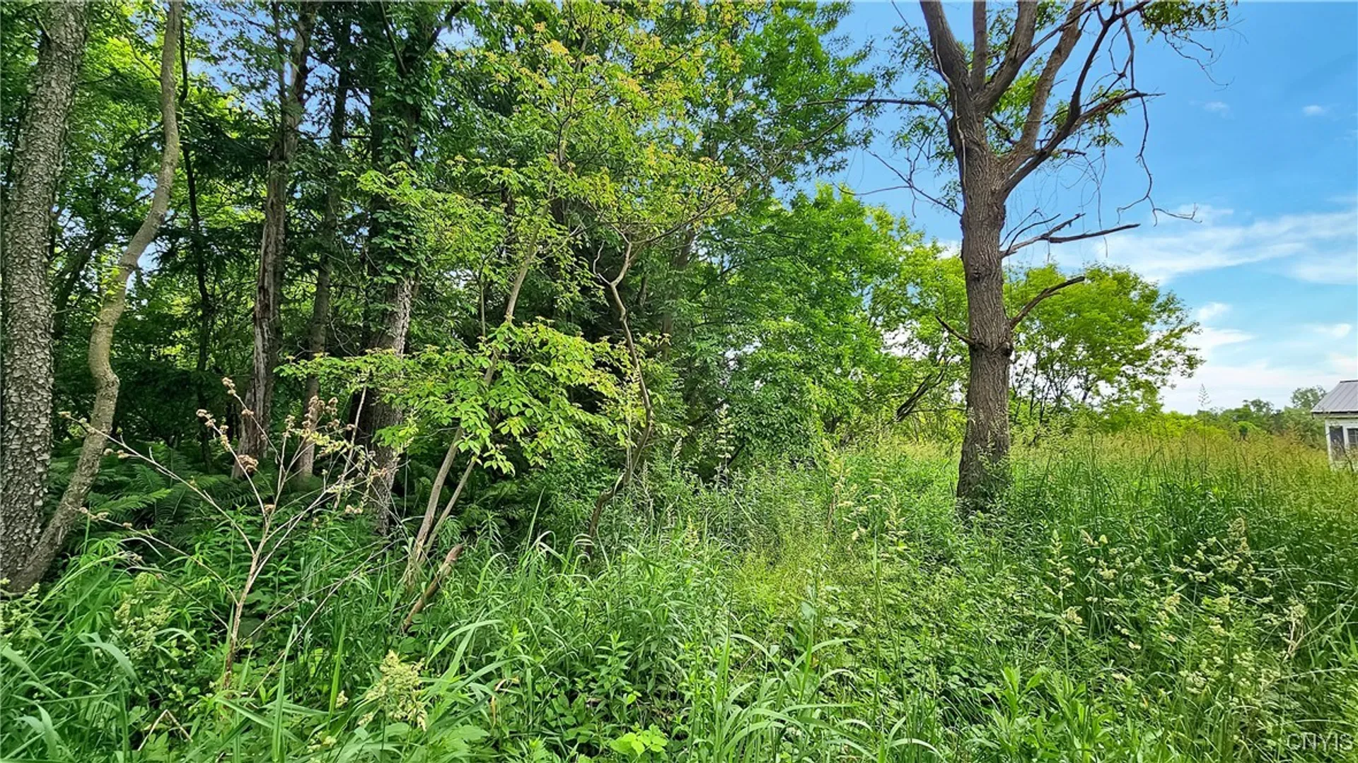 Property at 9692 East Road, Denmark, NY 13367 9