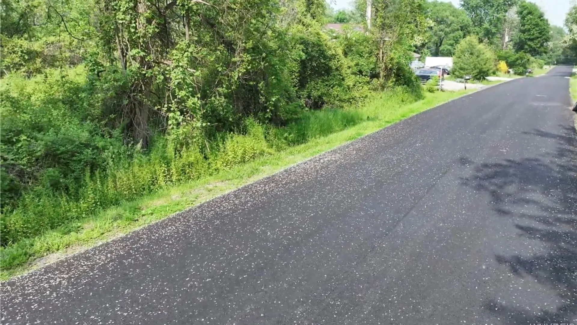 Property at 0 Drew Road, Ithaca Town, NY 14850 3