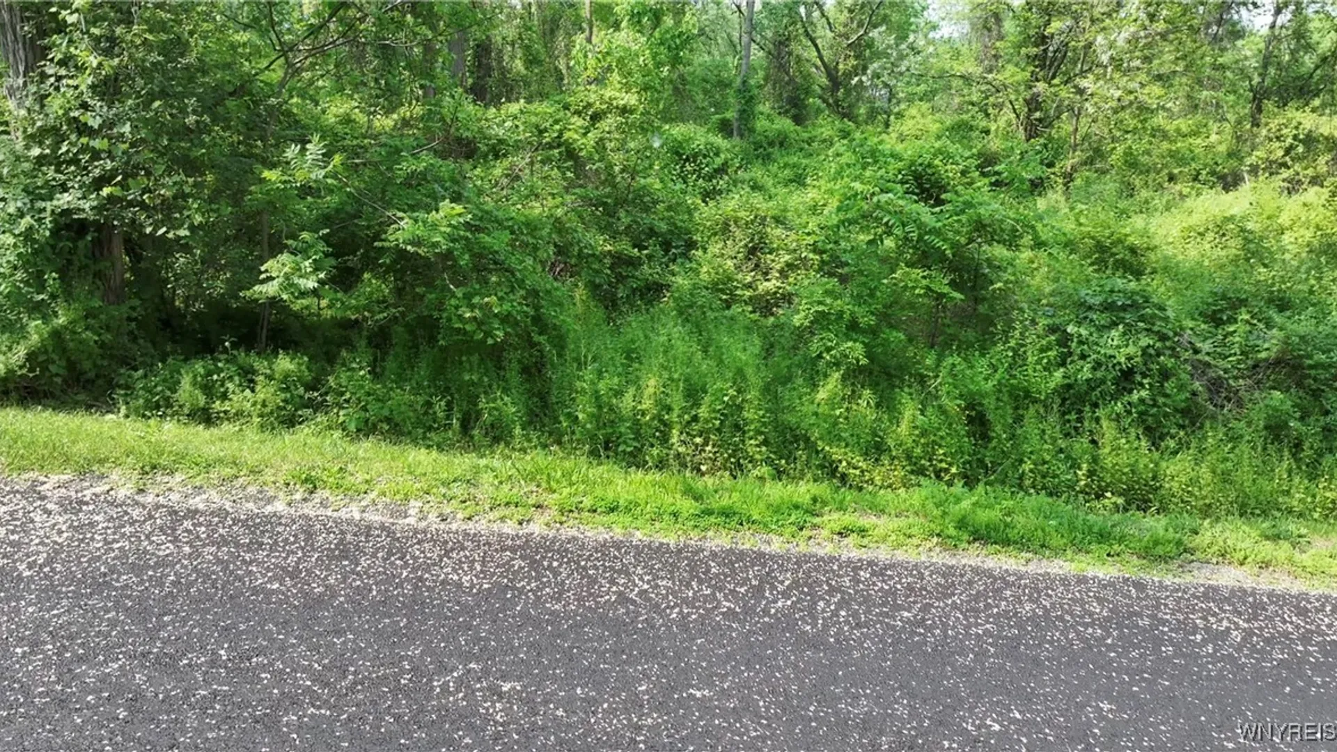 Property at 0 Drew Road, Ithaca Town, NY 14850 4