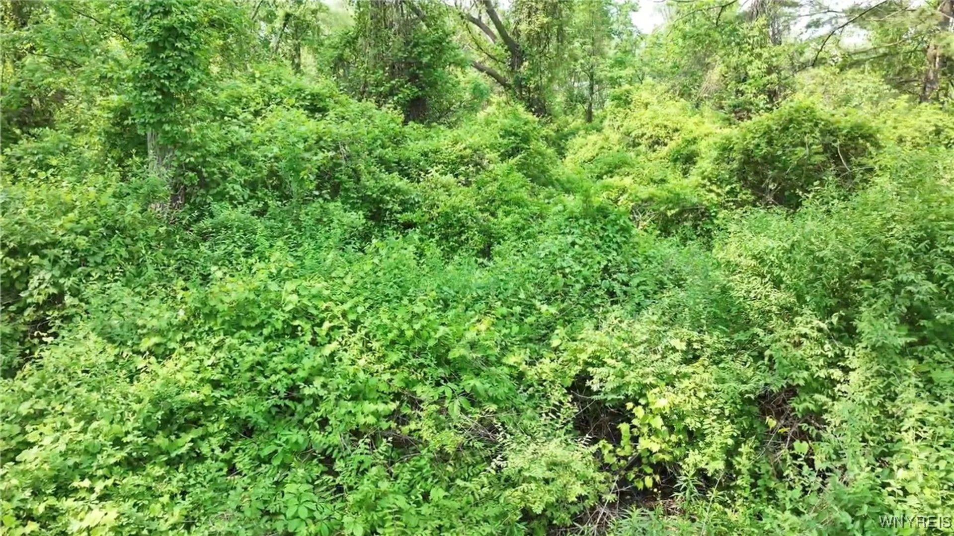 Property at 0 Drew Road, Ithaca Town, NY 14850 5