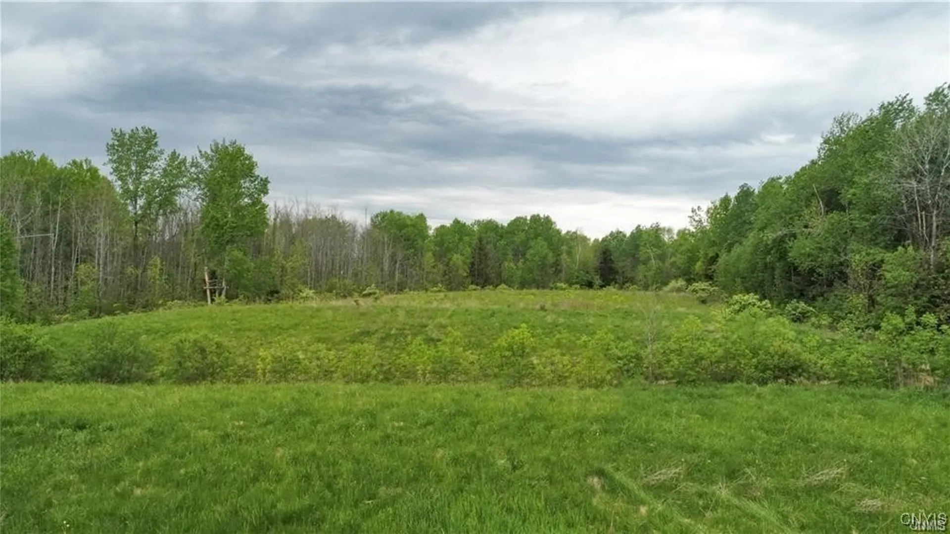 Property at 9141 River Road, Lysander, NY 13027 10