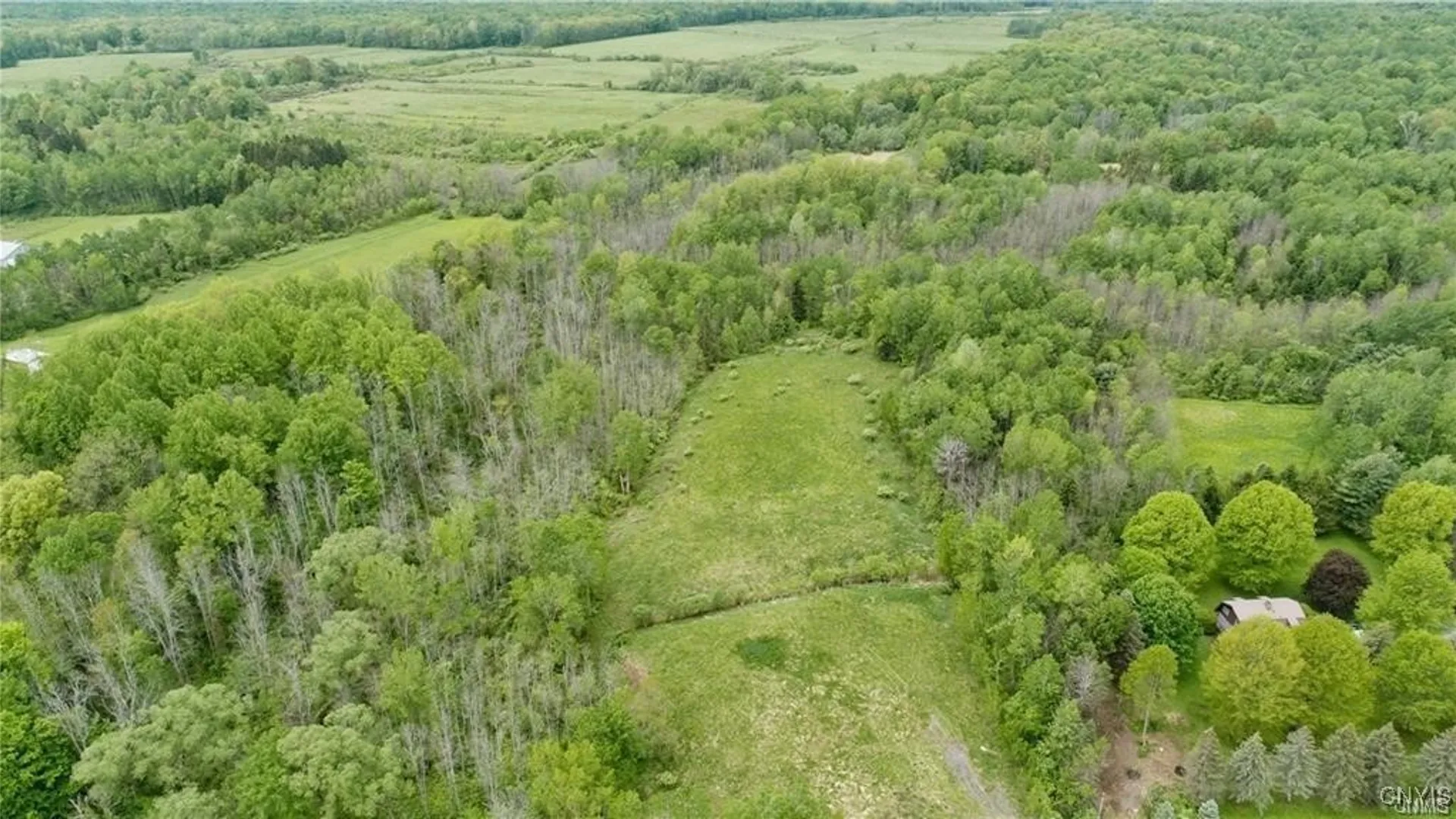 Property at 9141 River Road, Lysander, NY 13027 12