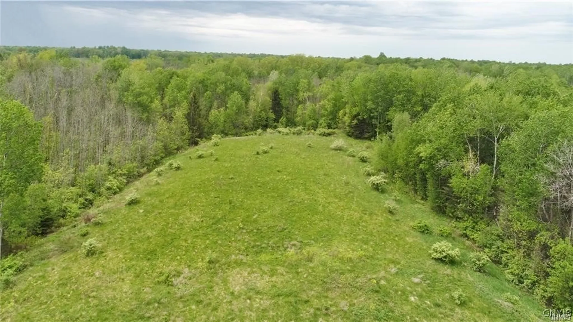 Property at 9141 River Road, Lysander, NY 13027 15