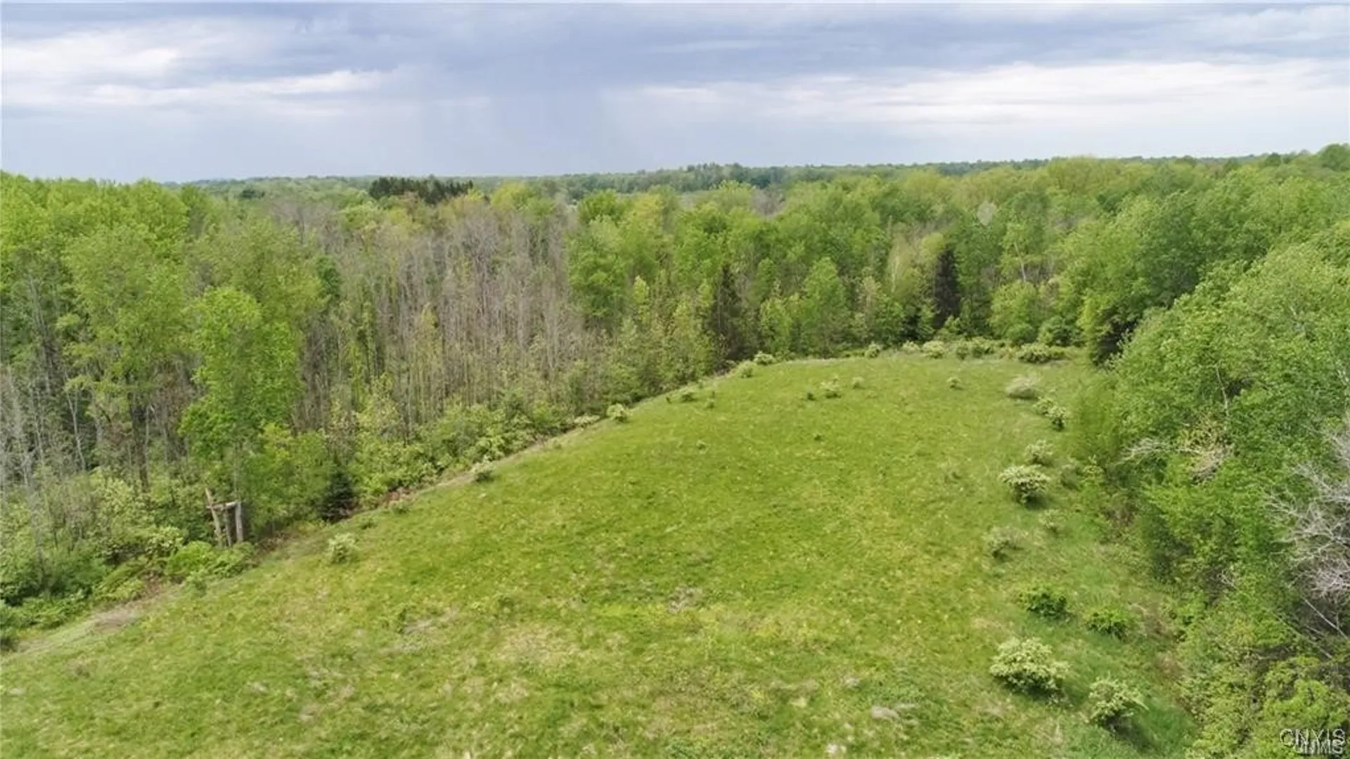 Property at 9141 River Road, Lysander, NY 13027 6