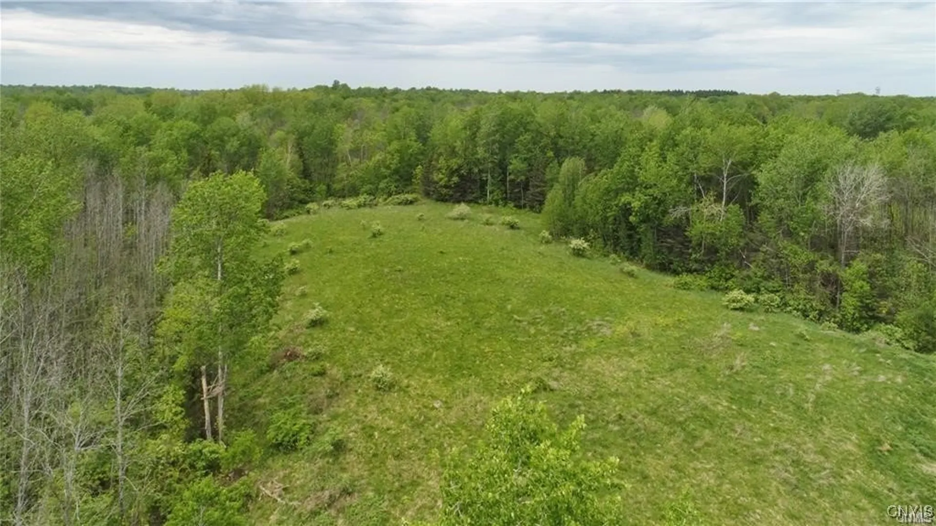 Property at 9141 River Road, Lysander, NY 13027 8