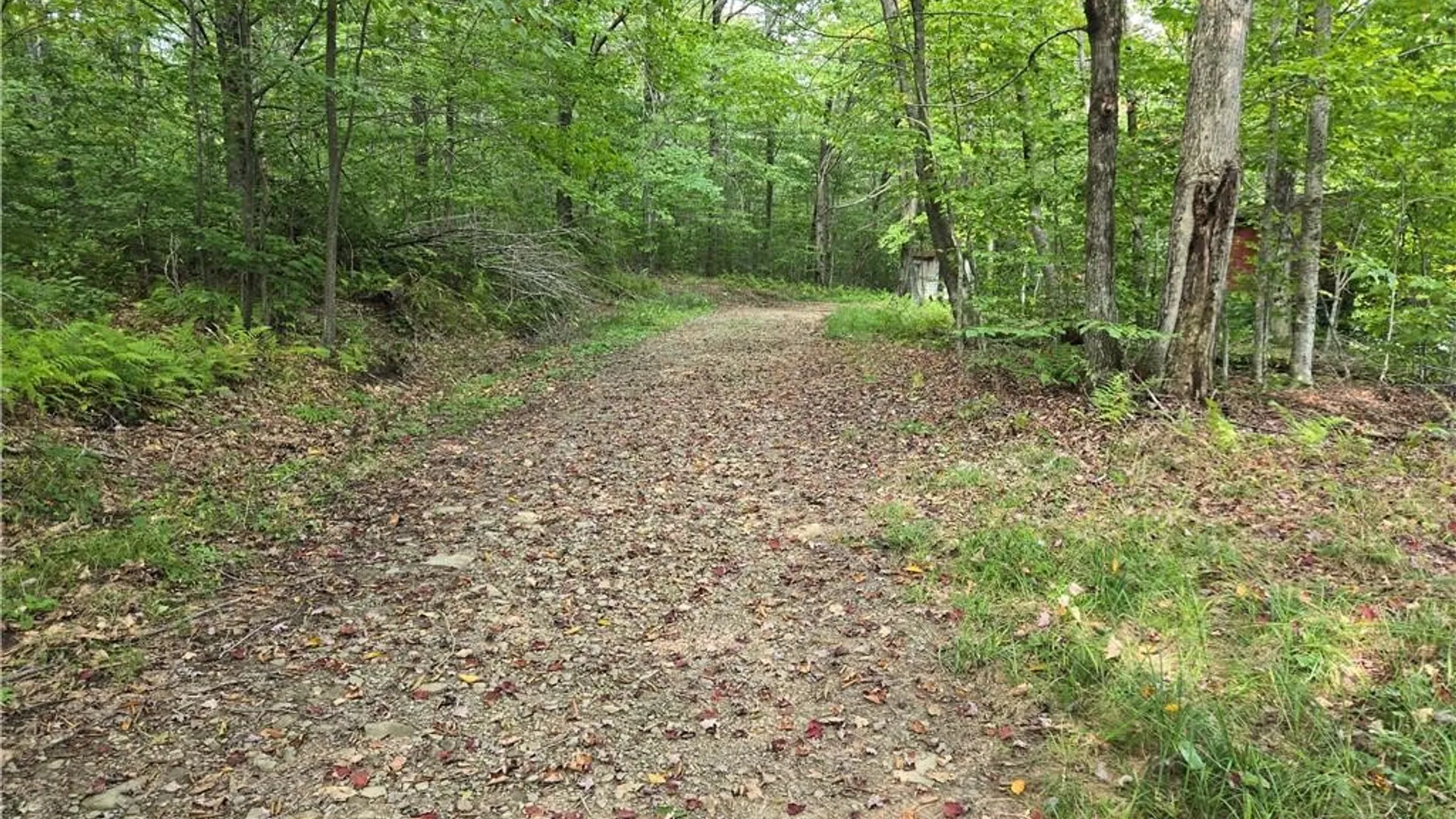 Property at 646 Dufton Hollow Road, Tompkins, NY 13783 11