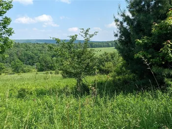 Property at Hubbard Hill Road, Maryland, NY 12116