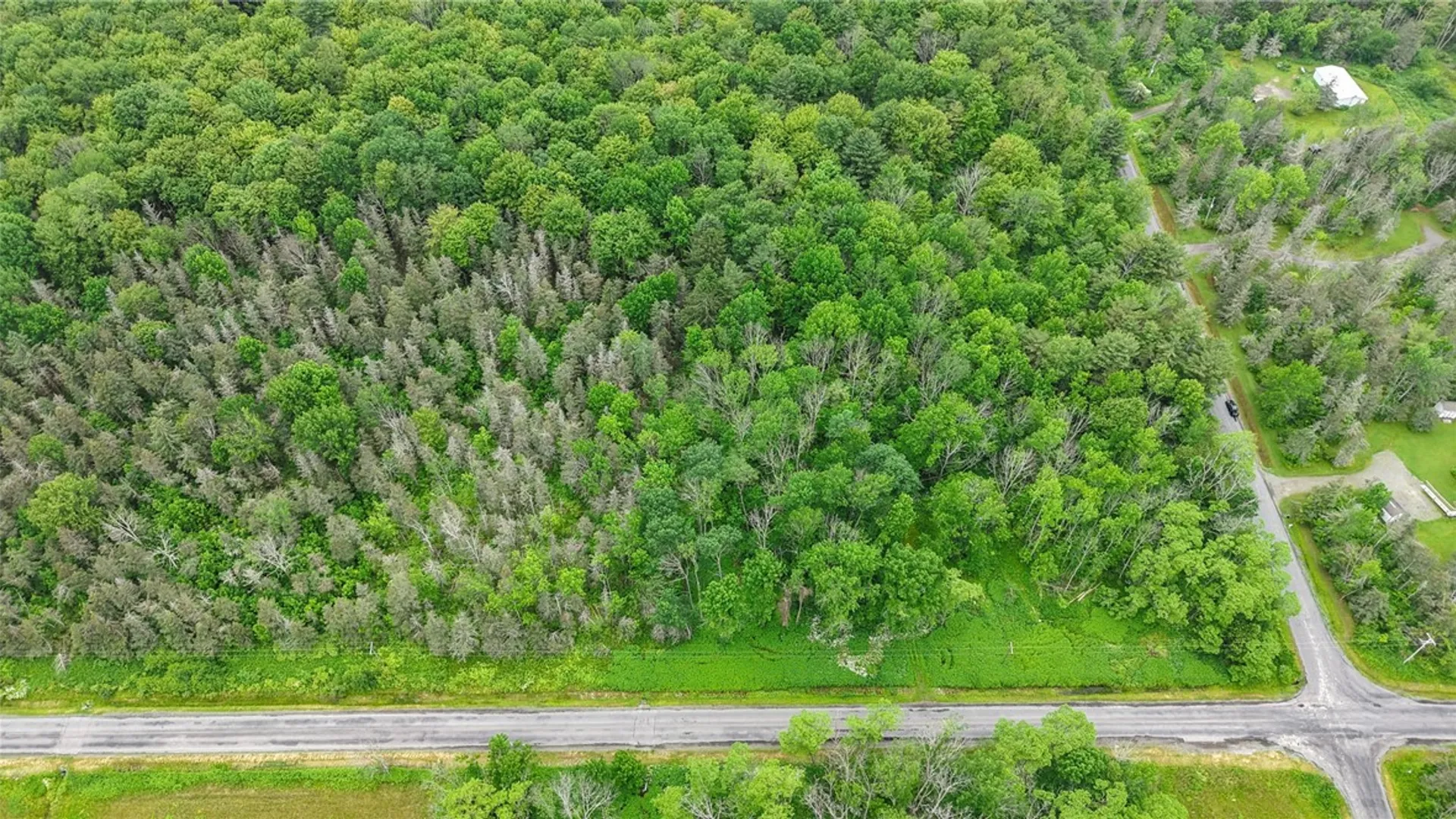 Property at 00 South Road, Lot C, Caroline, NY 14817 6