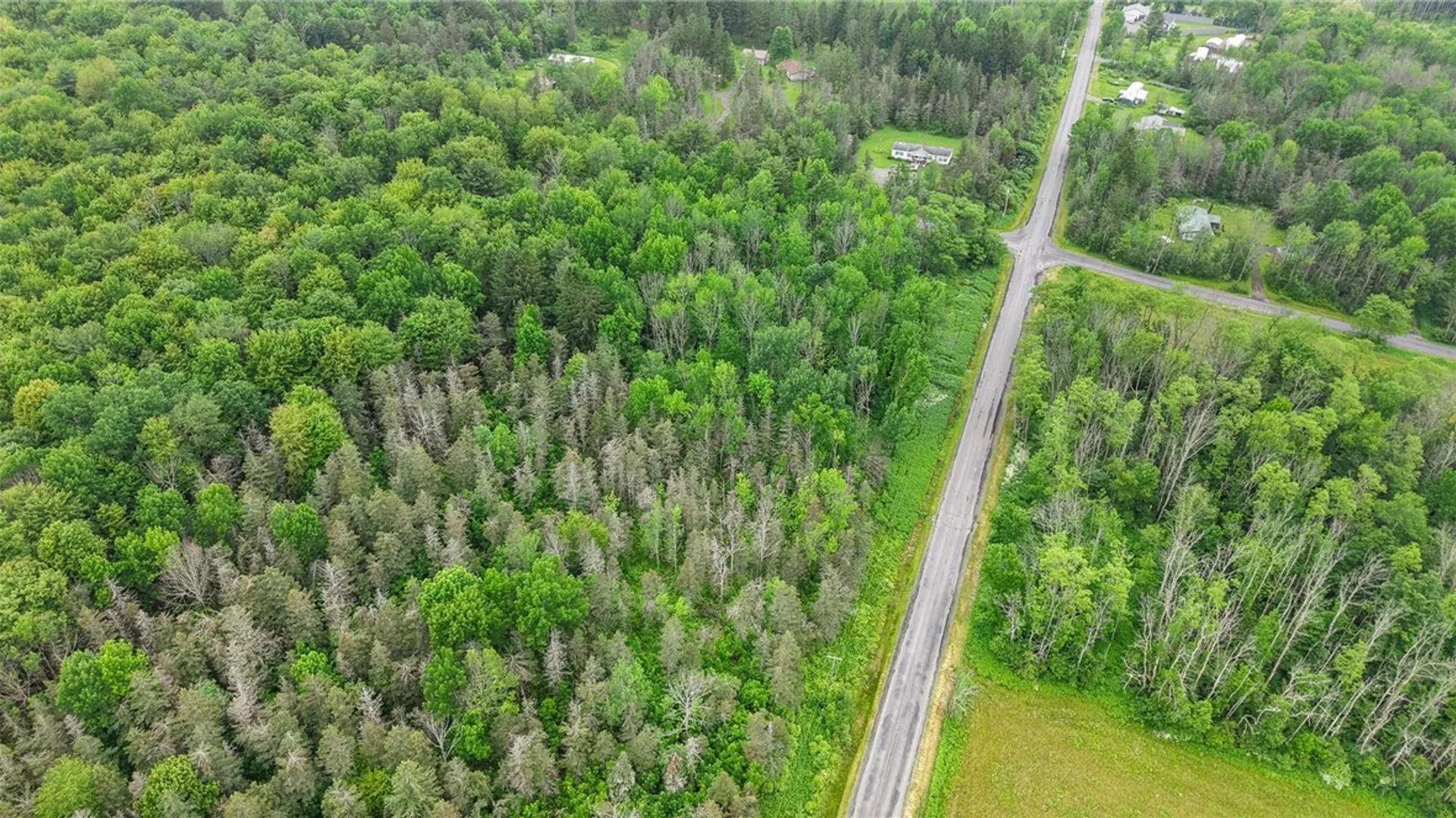 Property at 00 South Road, Lot C, Caroline, NY 14817 7