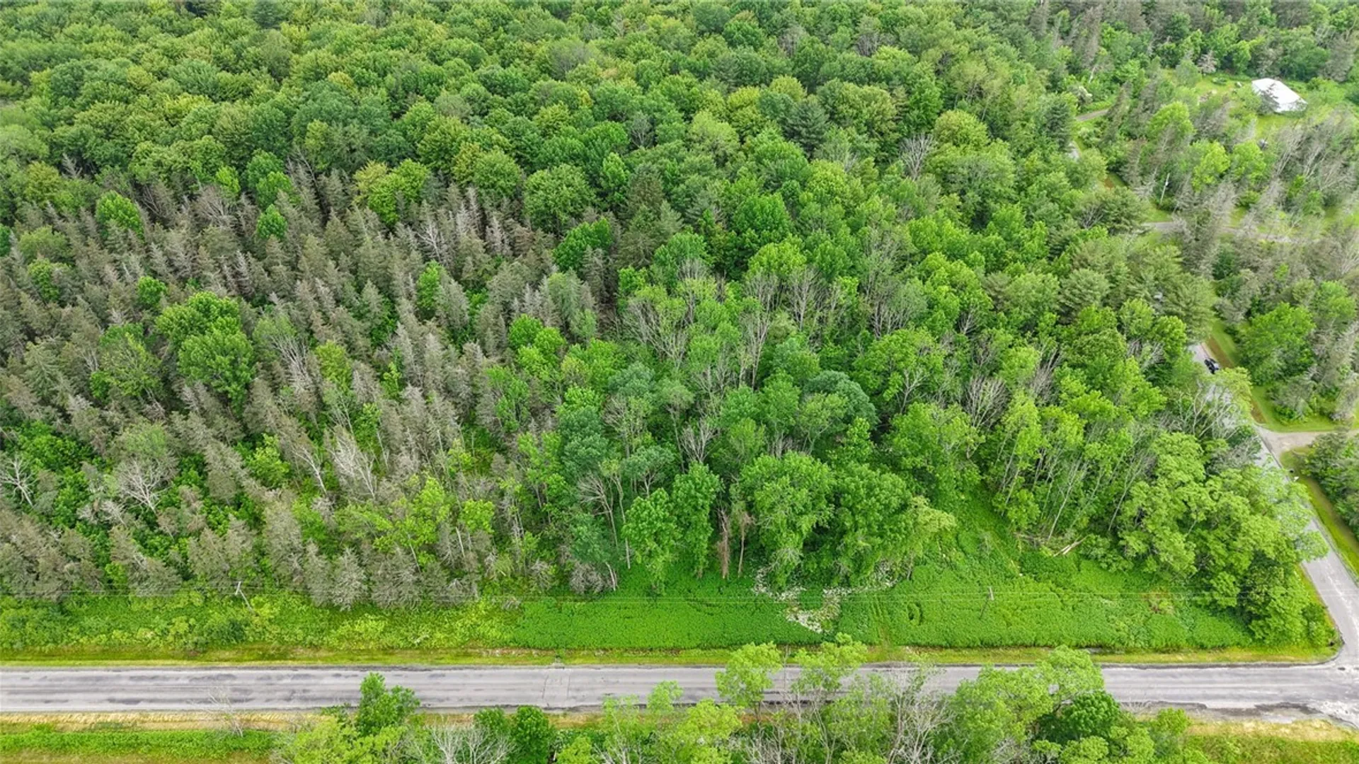 Property at 00 South Road, Lot C, Caroline, NY 14817 9