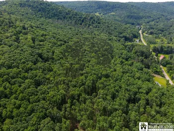 Property at 738 Four Mile Road, Allegany, NY 14706