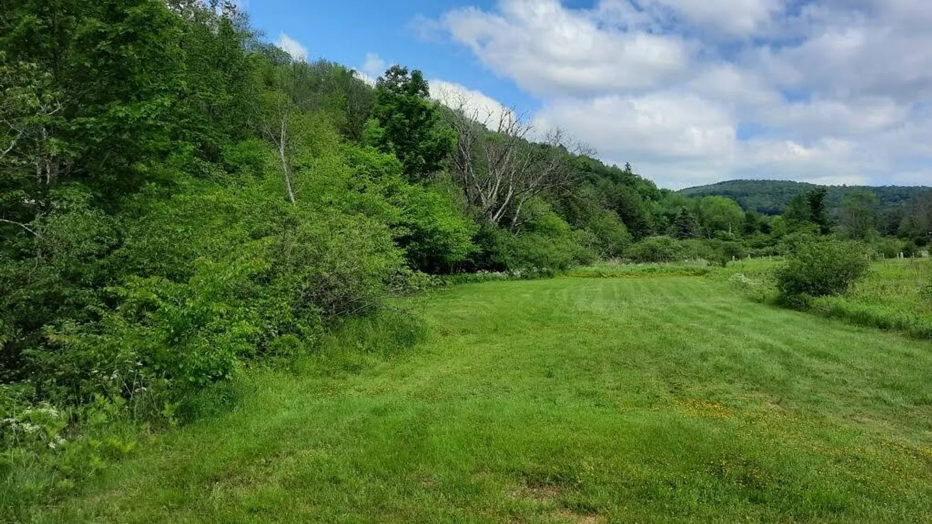 Property at 104 Old Herrick Road, Halcottsville, NY 12438 20