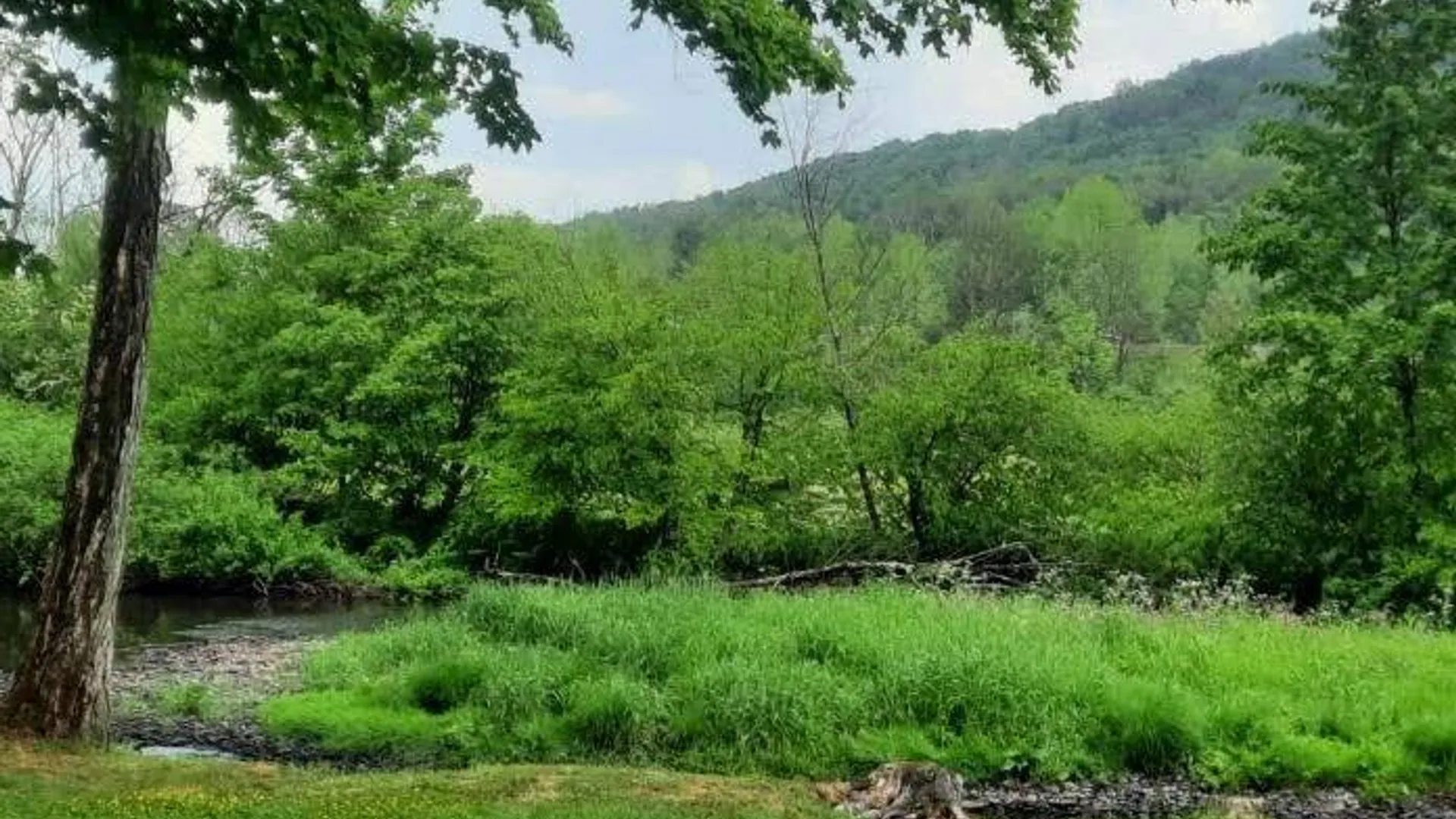 Property at 104 Old Herrick Road, Halcottsville, NY 12438 4