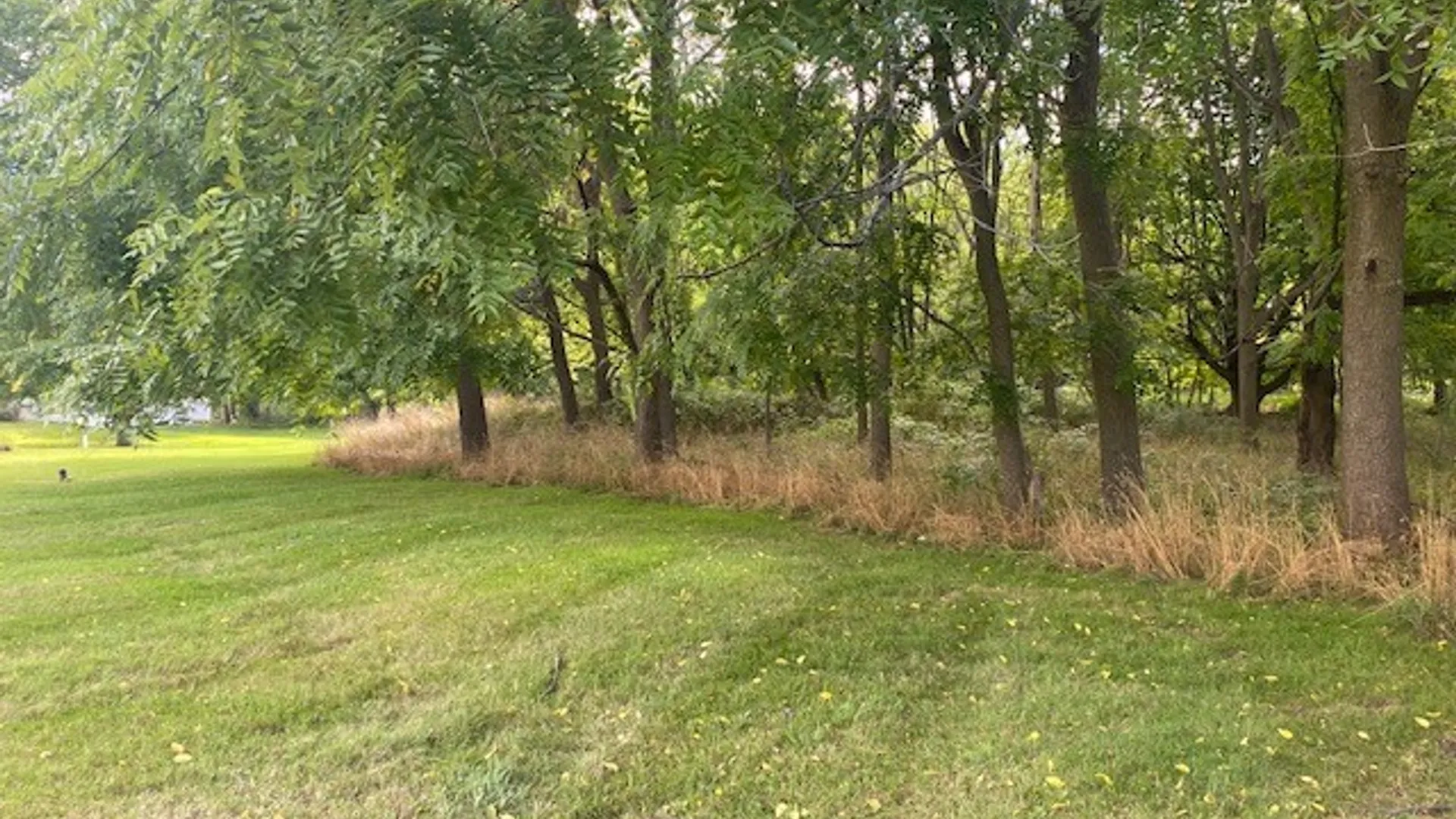 Property at 200 Waring Road, DeWitt, NY 13224 5