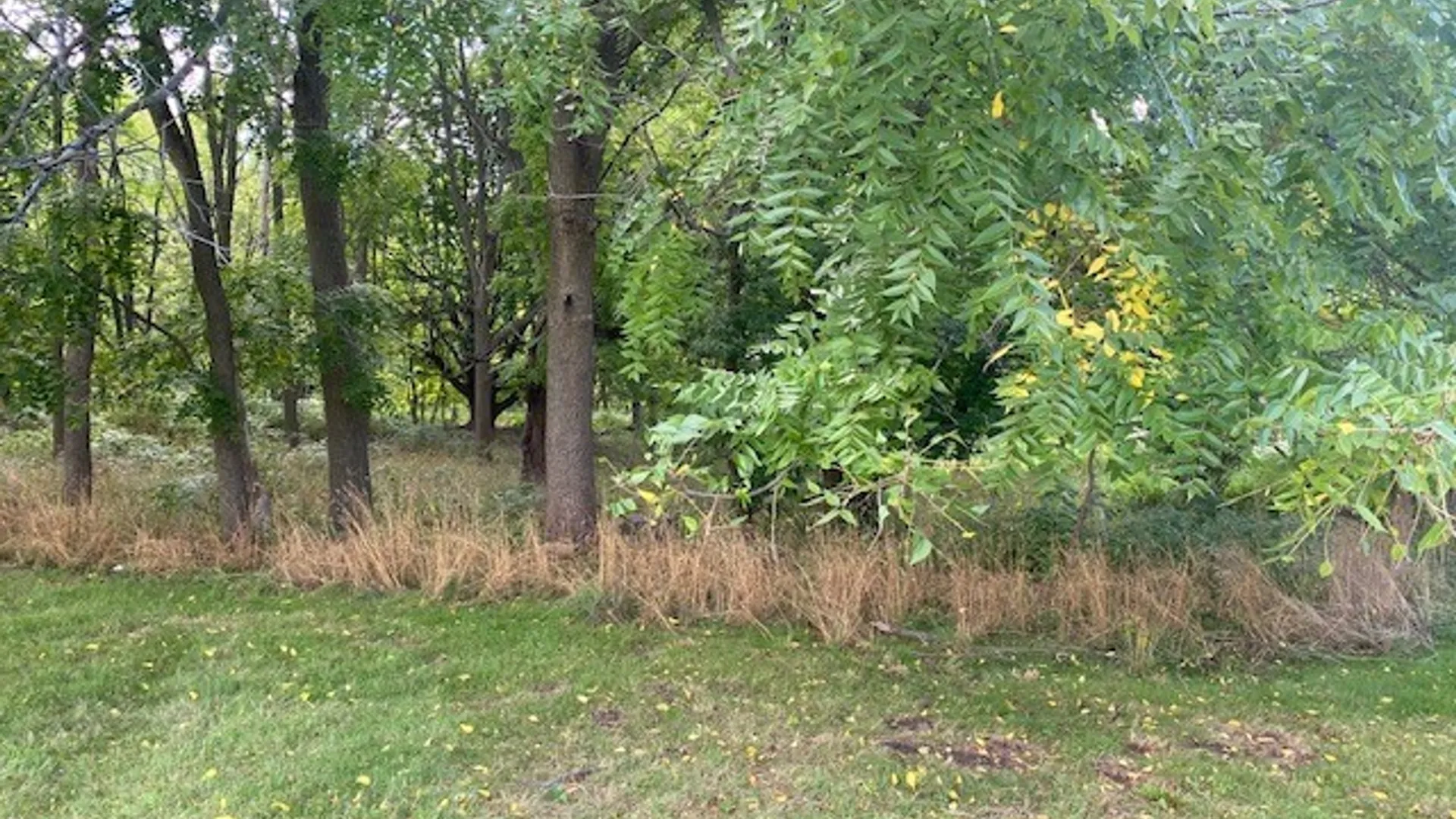 Property at 200 Waring Road, DeWitt, NY 13224 6