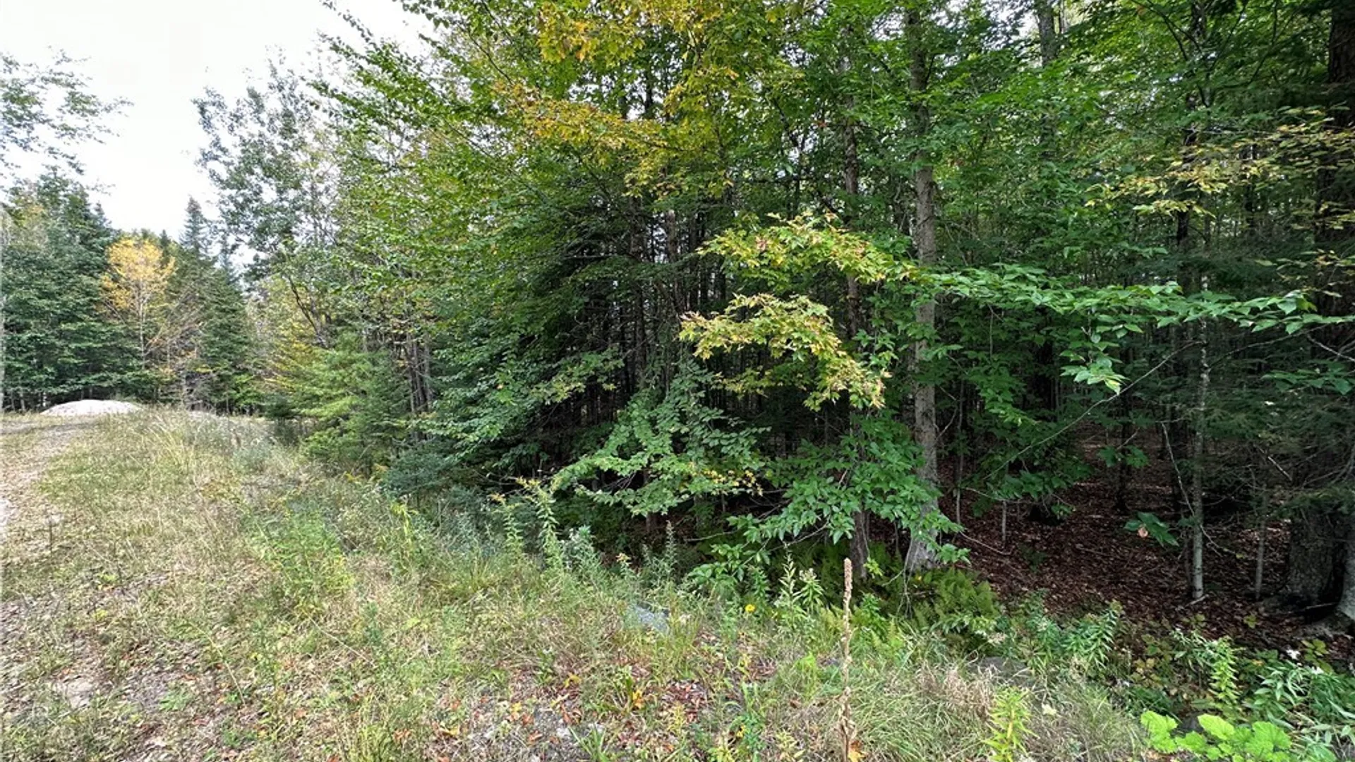 Property at Steinfeldt Lane, Long Lake, NY 12847 4