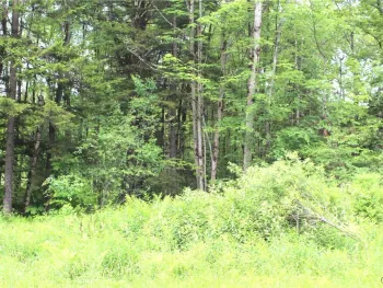 Property at Milk Road, Osceola, NY 13316
