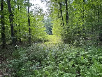 172 Aurora Drive, Norwich, NY 13815