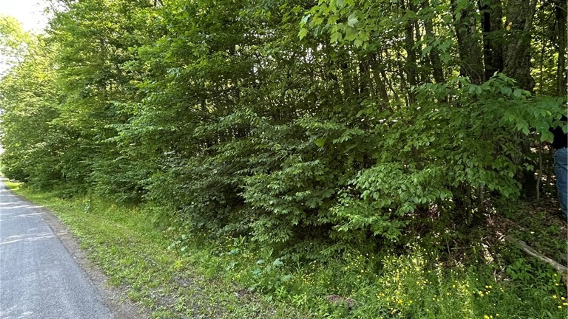 Property at 172 Aurora Drive, Norwich, NY 13815 3