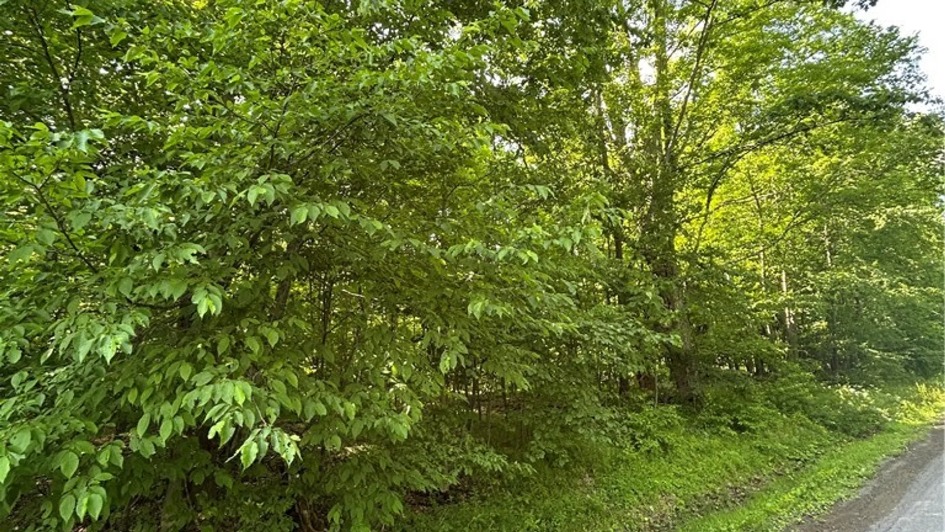 Property at 172 Aurora Drive, Norwich, NY 13815 4