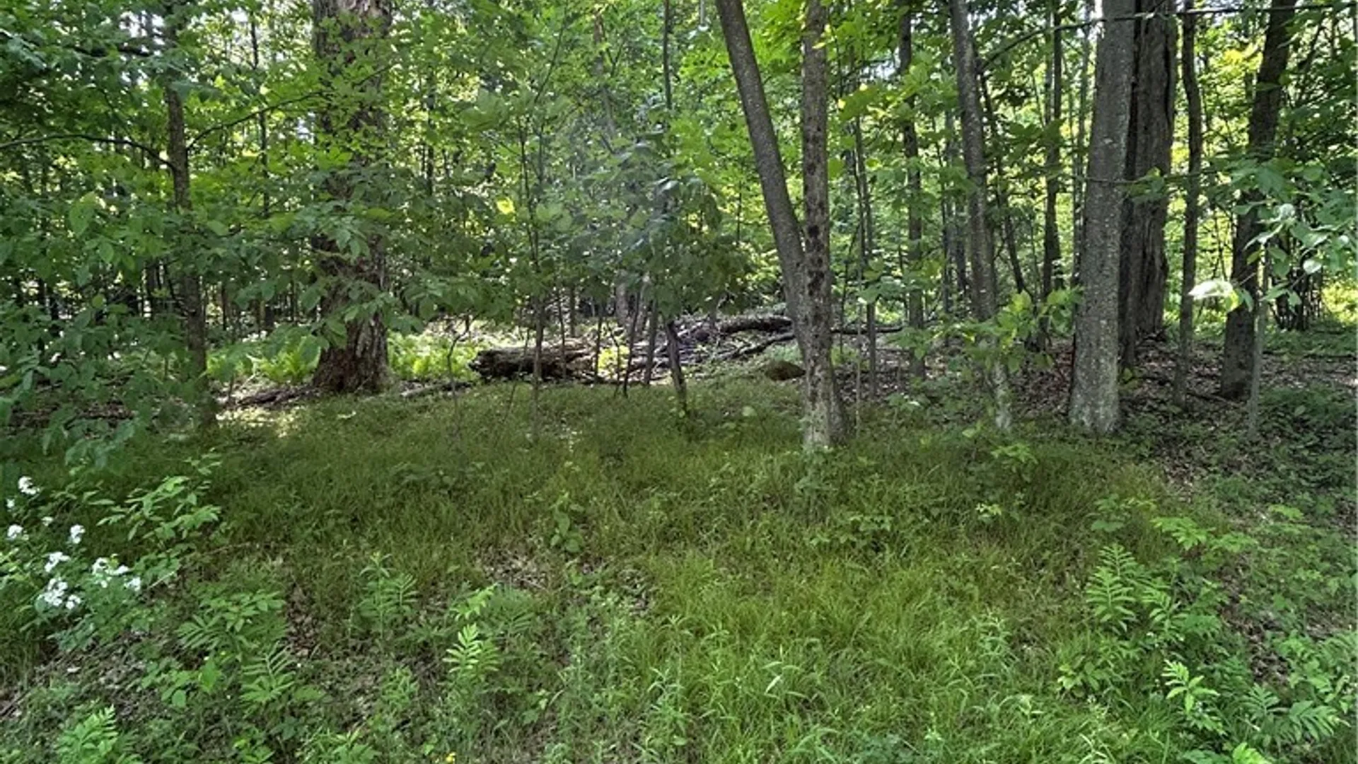 Property at 172 Aurora Drive, Norwich, NY 13815 5