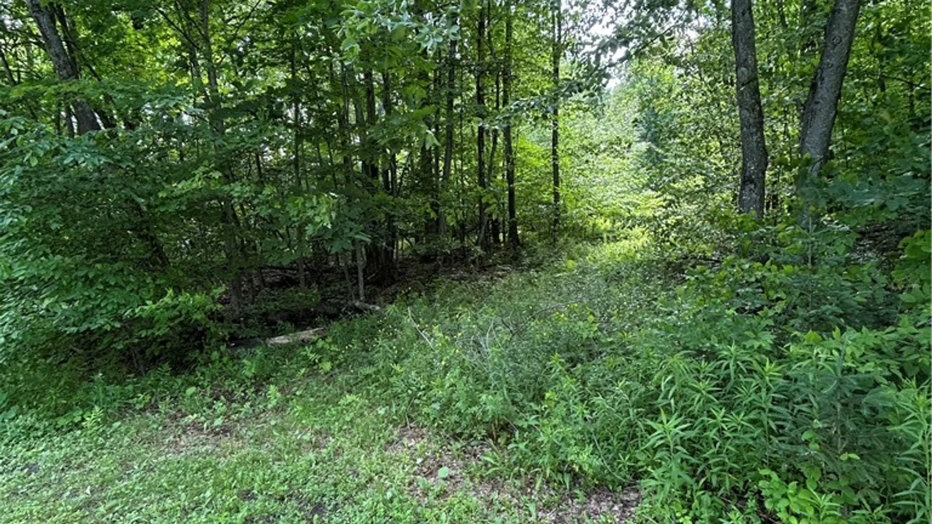 Property at 172 Aurora Drive, Norwich, NY 13815 6