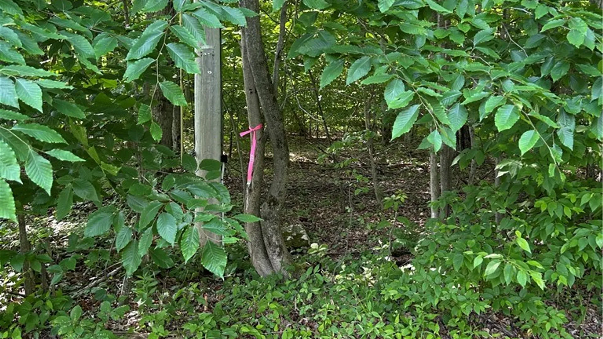 Property at 172 Aurora Drive, Norwich, NY 13815 7