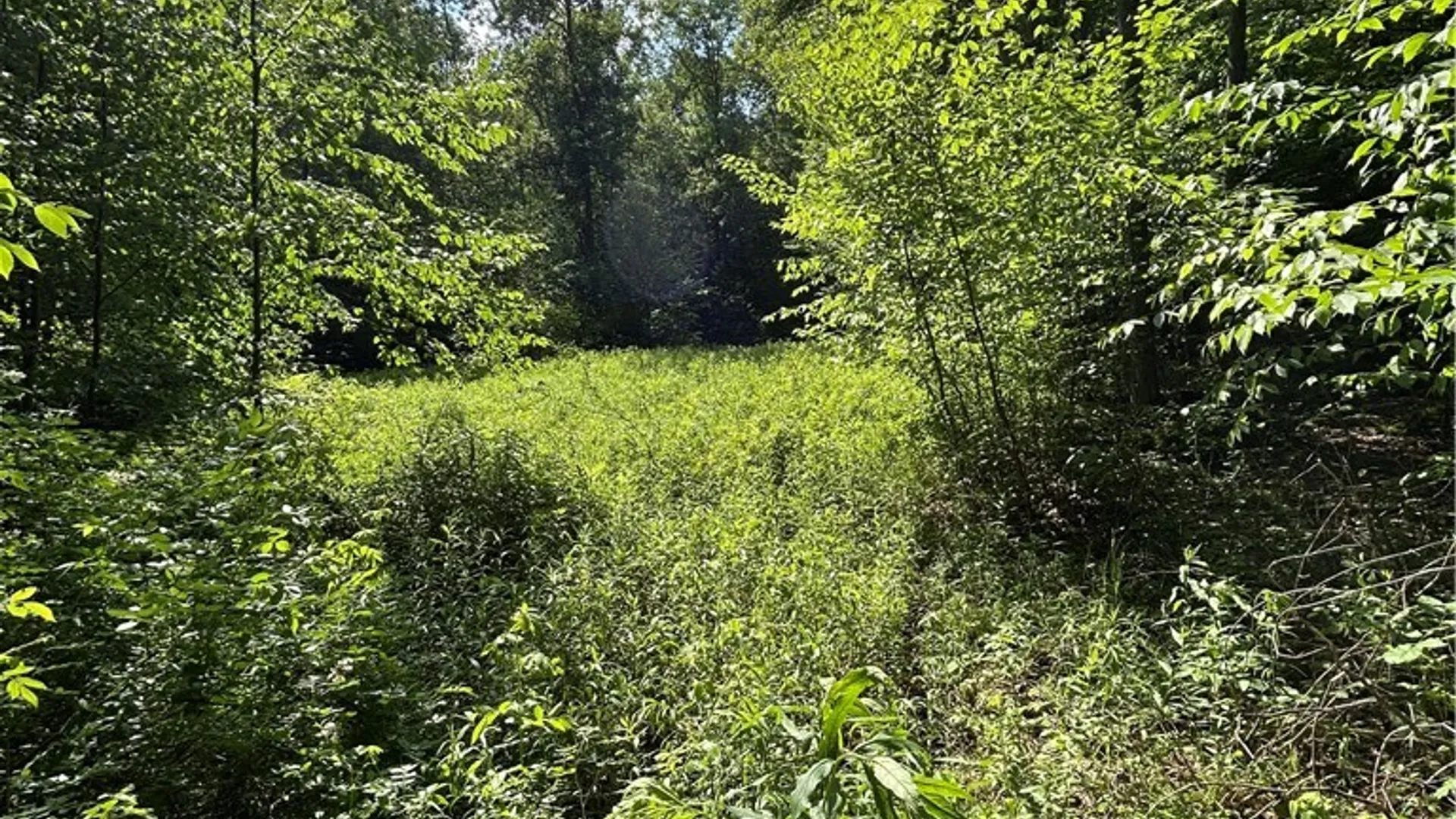 Property at 172 Aurora Drive, Norwich, NY 13815 8