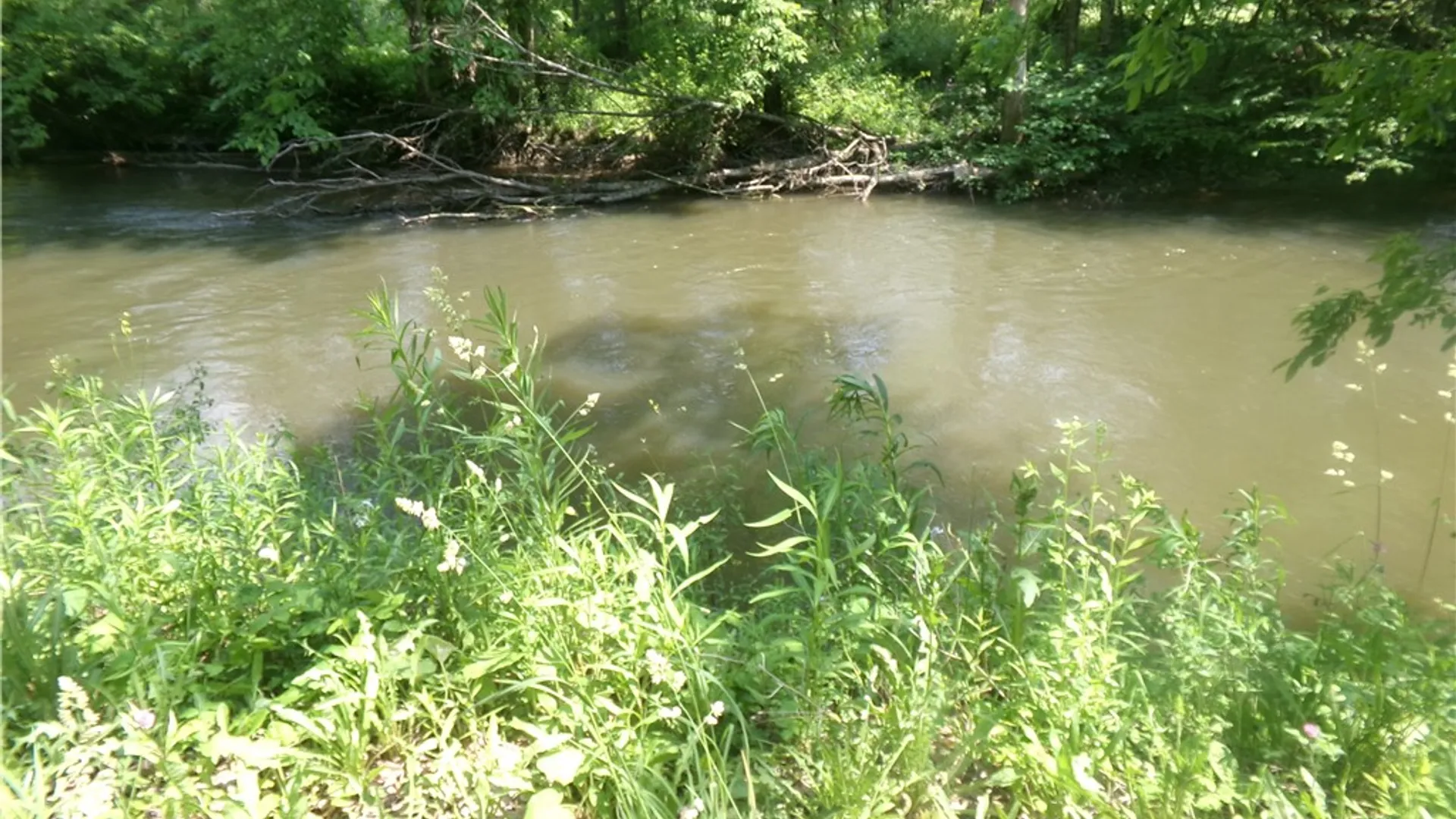 Property at 0 Gridleyville Road, Spencer, NY 14883 11