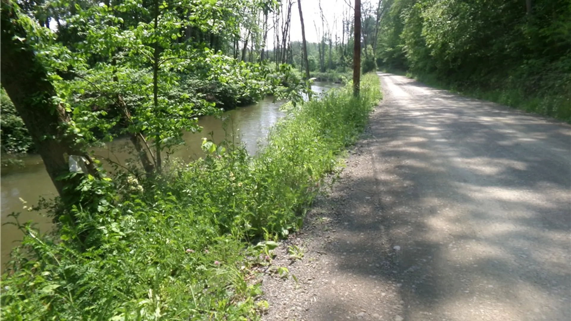 Property at 0 Gridleyville Road, Spencer, NY 14883 2