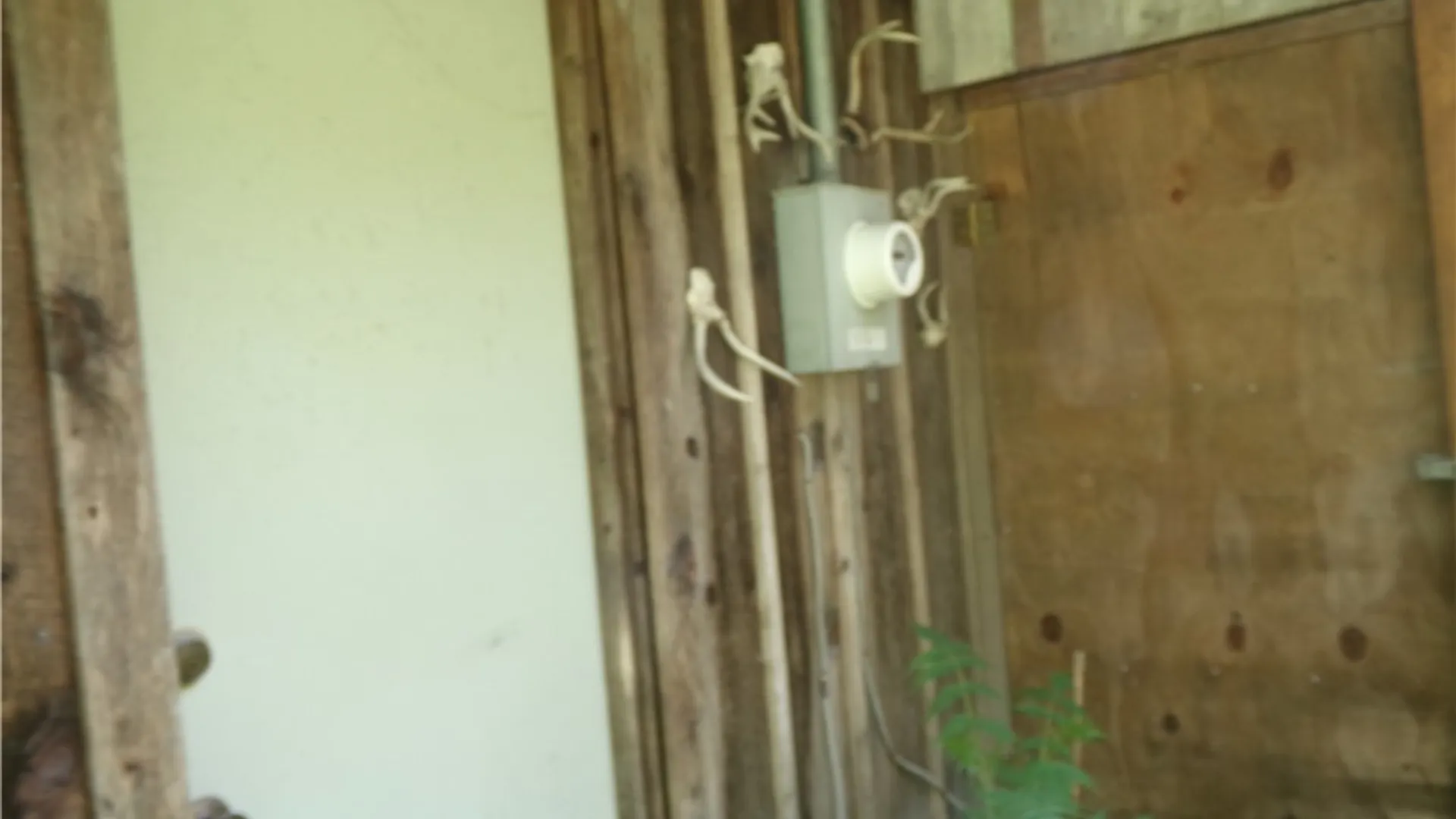 Property at 0 Gridleyville Road, Spencer, NY 14883 6