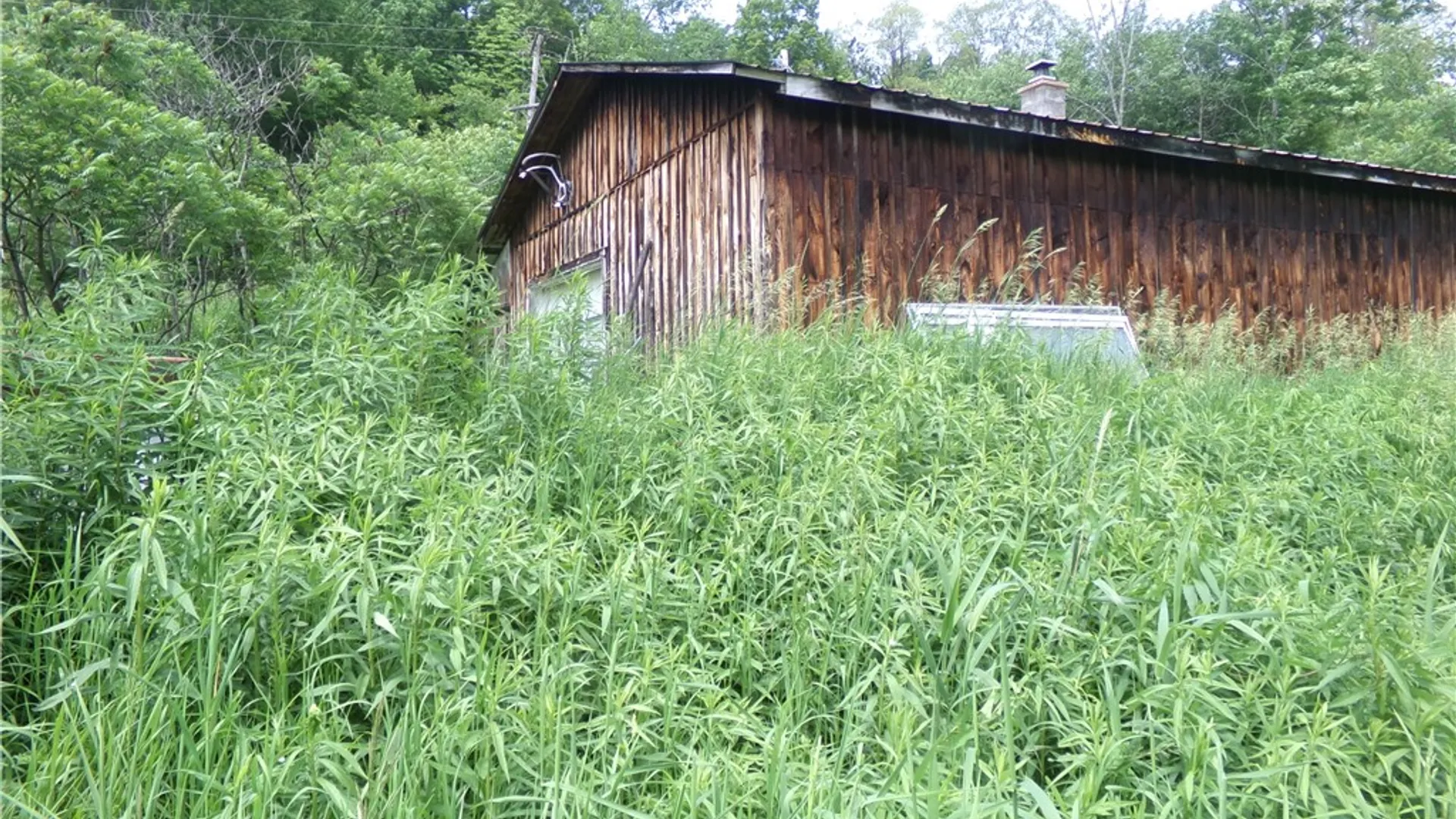 Property at 0 Gridleyville Road, Spencer, NY 14883 7