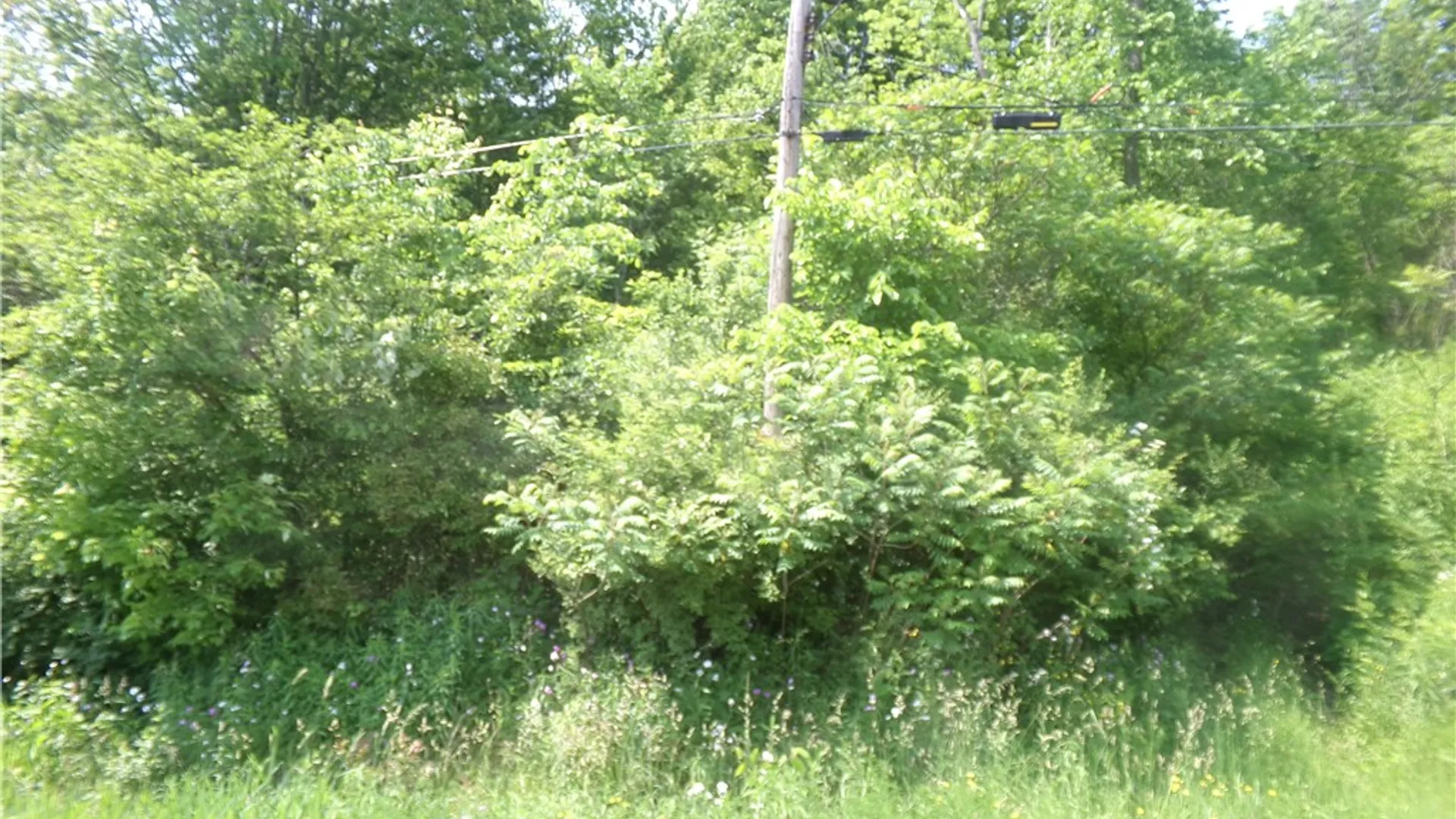 Property at 00 Gridleyville Road, Spencer, NY 14883 2