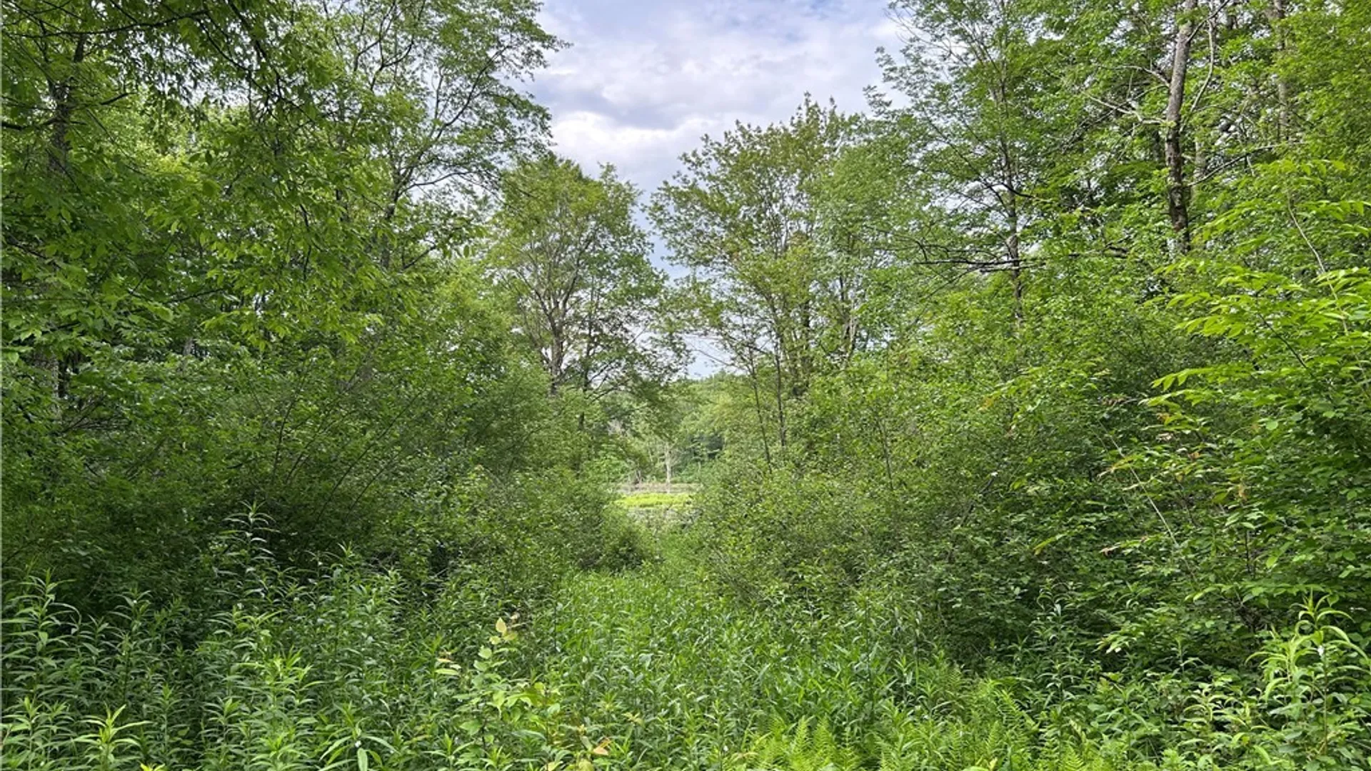 Property at Bartley Road, Williamstown, NY 13493 10