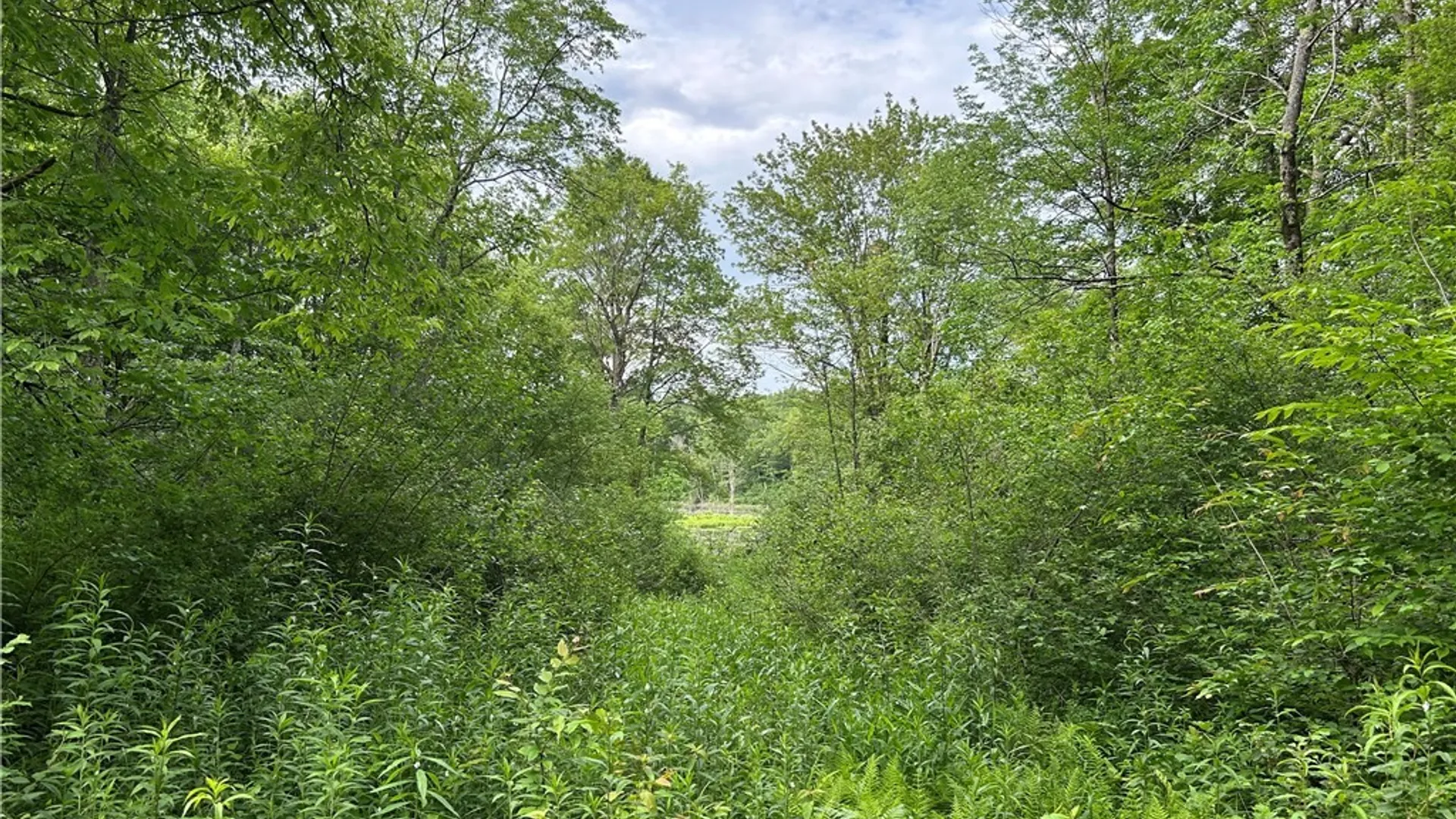 Property at Bartley Road, Williamstown, NY 13493 11