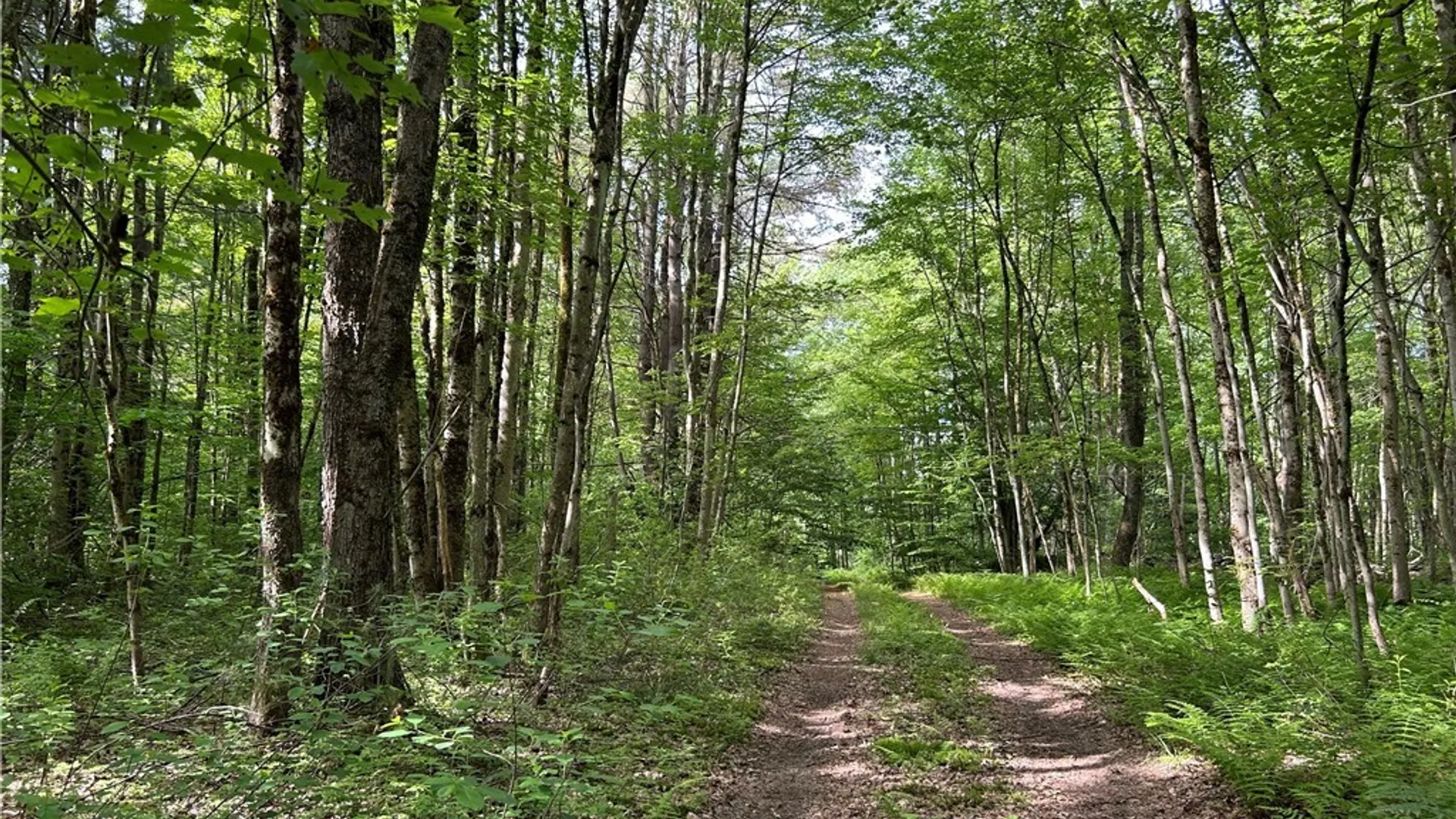 Property at Bartley Road, Williamstown, NY 13493 12