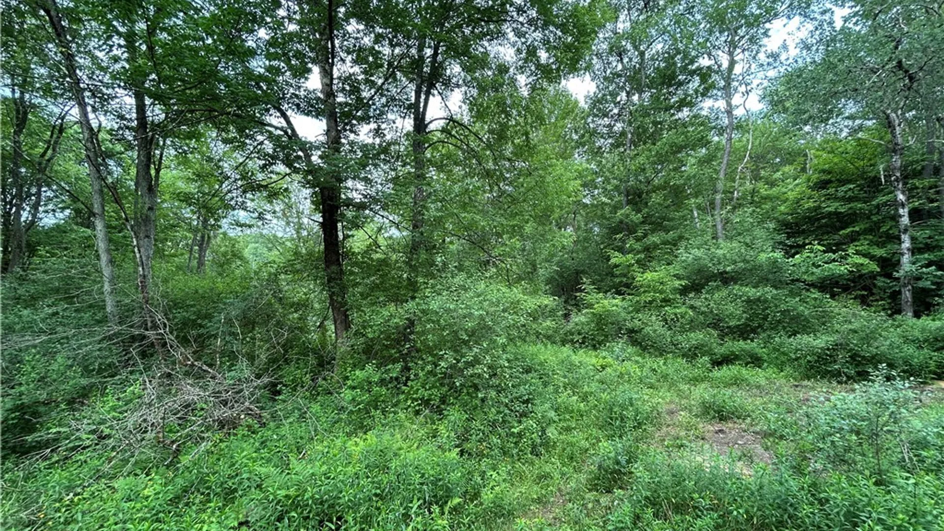 Property at Bartley Road, Williamstown, NY 13493 9