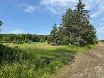 Property at 749 Green Road, Alfred, NY 14803