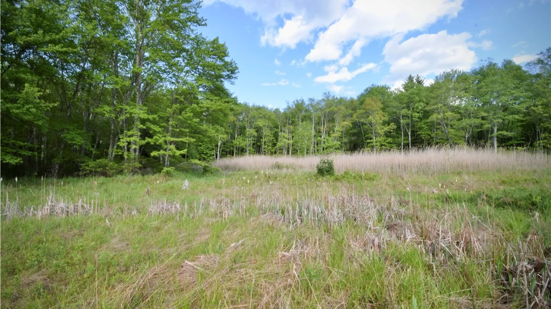 Property at Route 52, Wawarsing, NY 12489 18