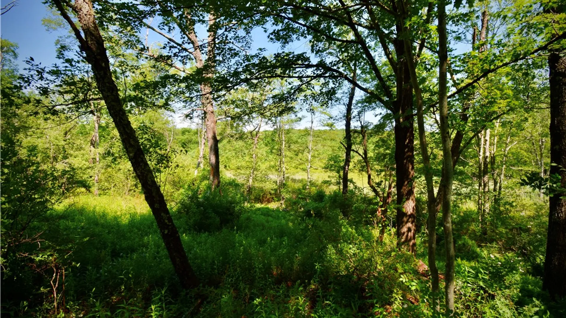 Property at Route 52, Wawarsing, NY 12489 23
