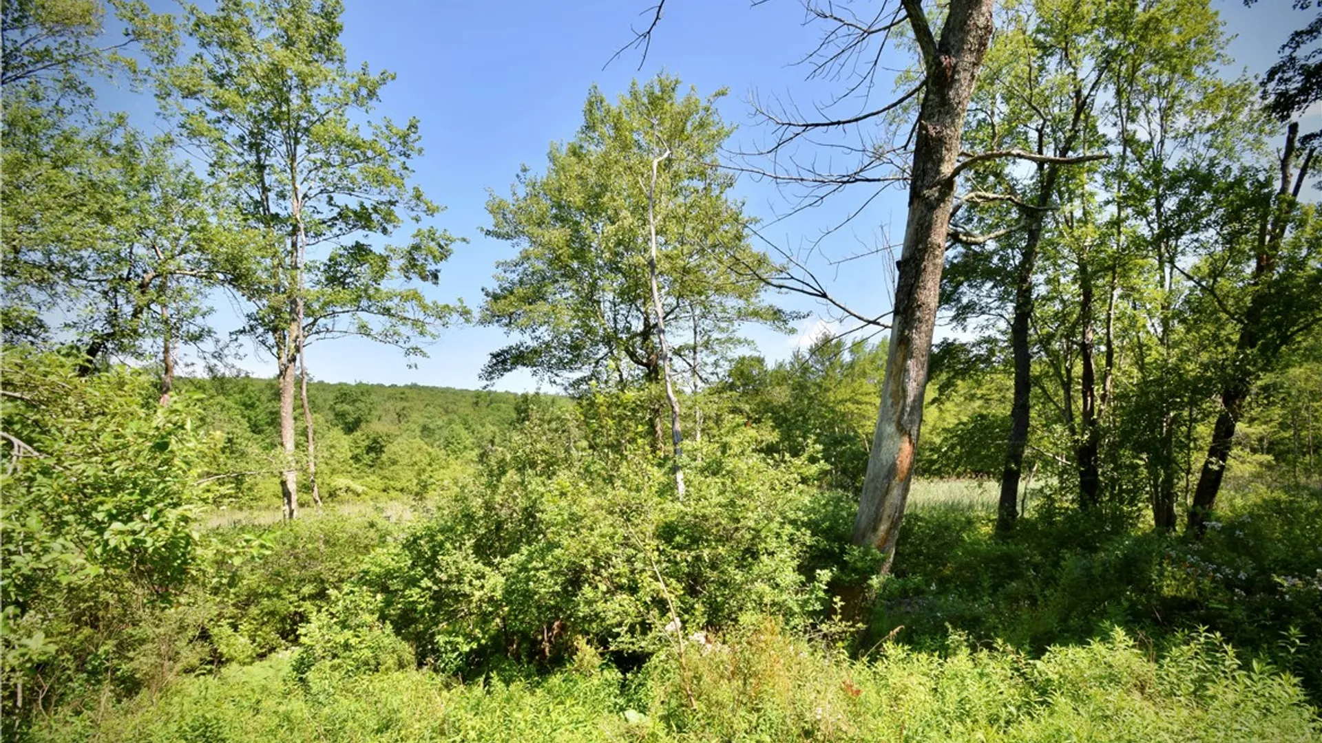 Property at Route 52, Wawarsing, NY 12489 24