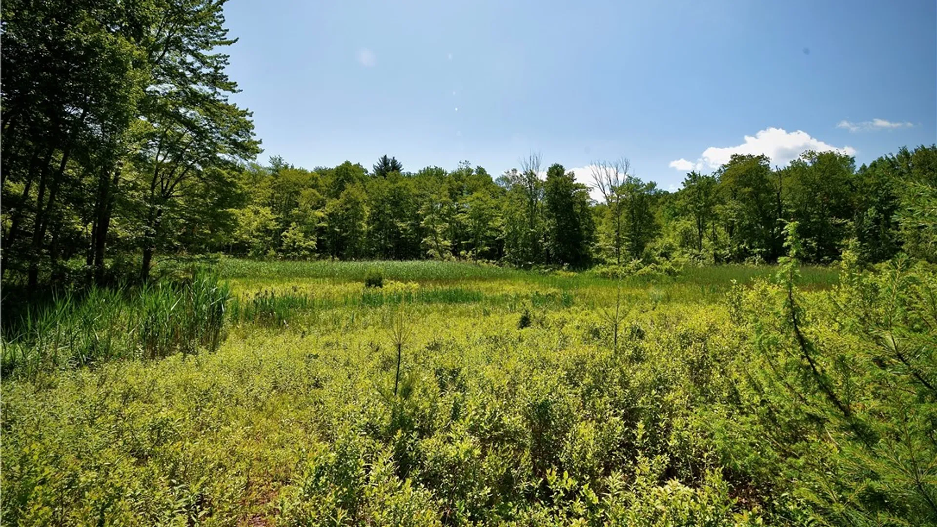 Property at Route 52, Wawarsing, NY 12489 25