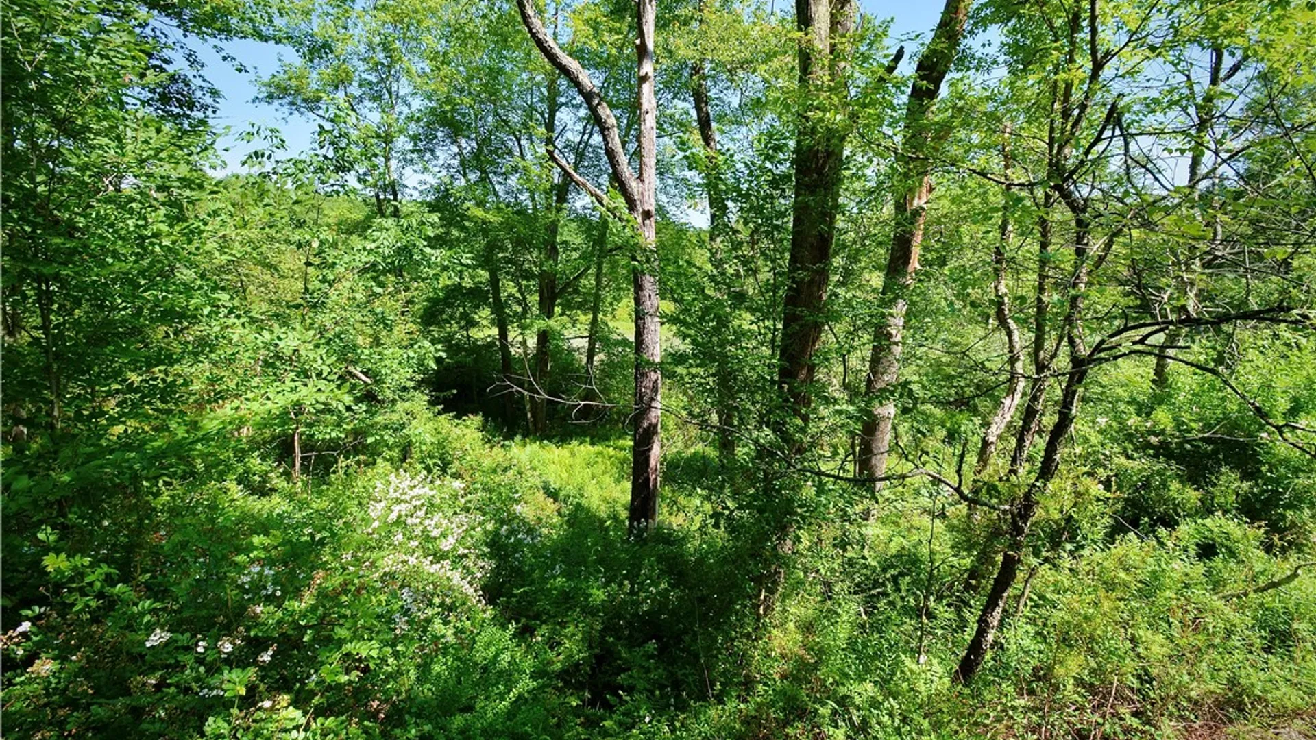 Property at Route 52, Wawarsing, NY 12489 26