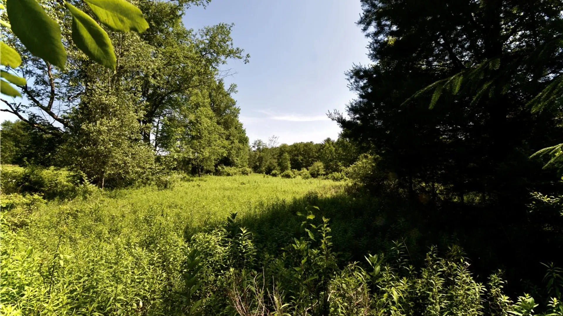 Property at Route 52, Wawarsing, NY 12489 27