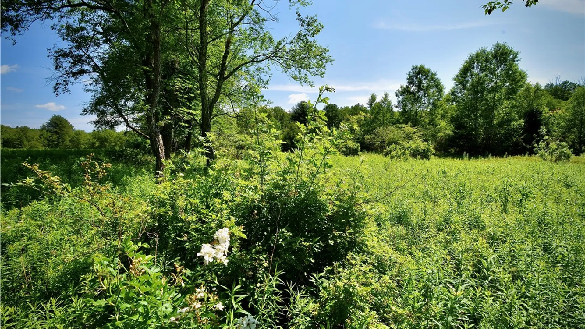 Property at Route 52, Wawarsing, NY 12489 30