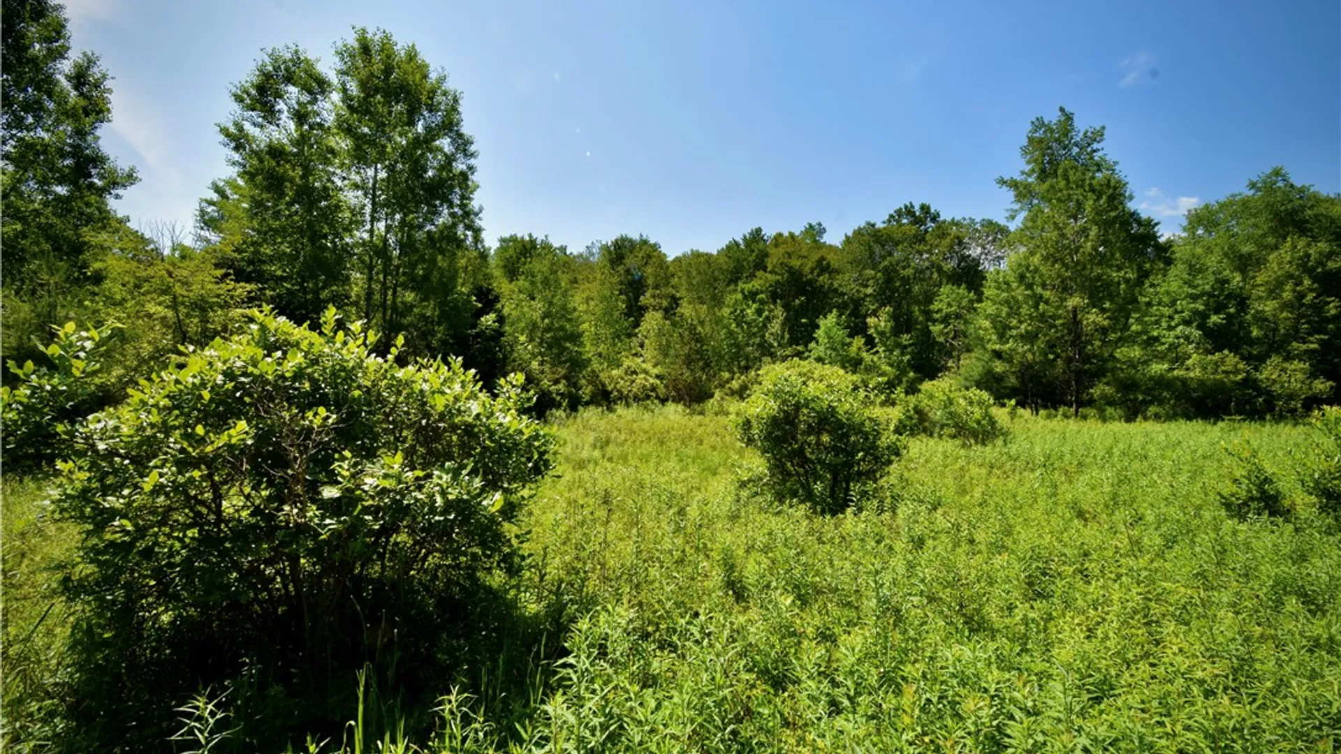 Property at Route 52, Wawarsing, NY 12489 31
