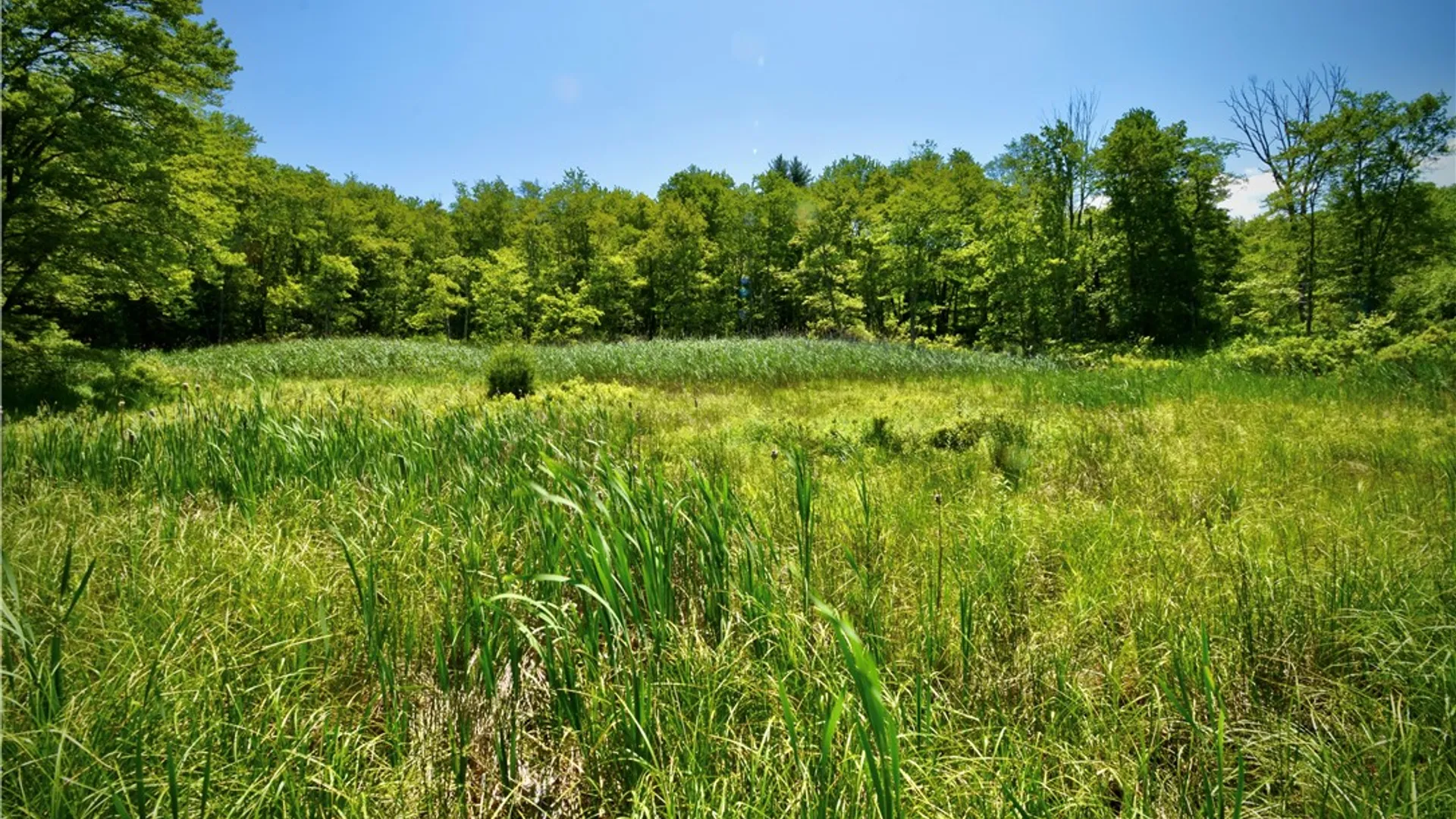 Property at Route 52, Wawarsing, NY 12489 33