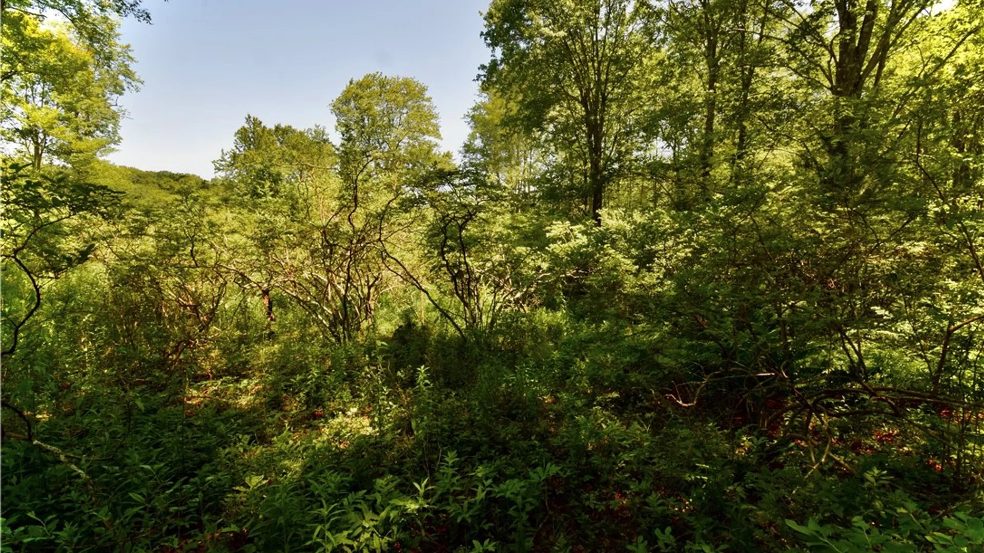 Property at Route 52, Wawarsing, NY 12489 34